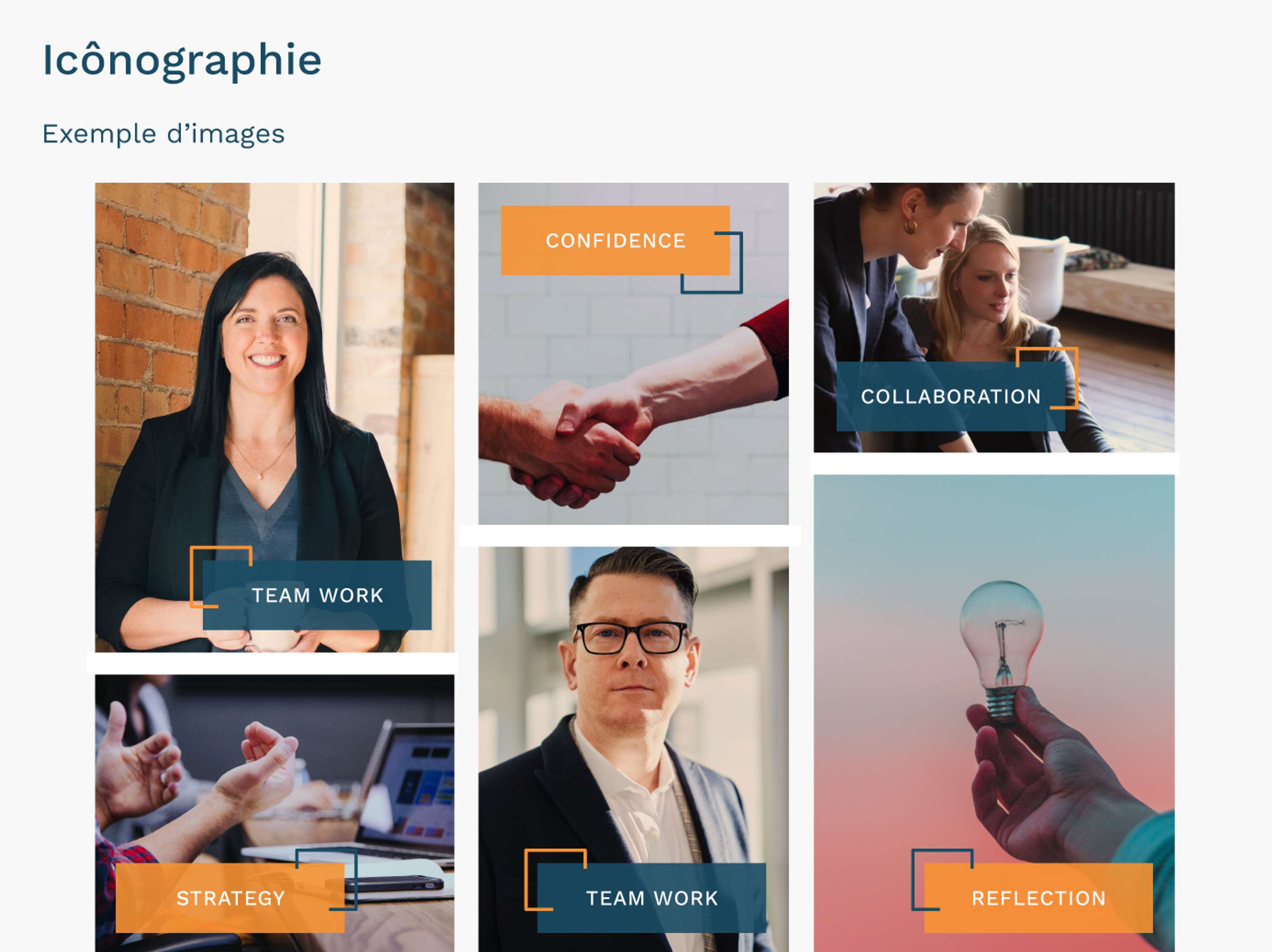 Identity Aphea consulting by hortense bedouelle