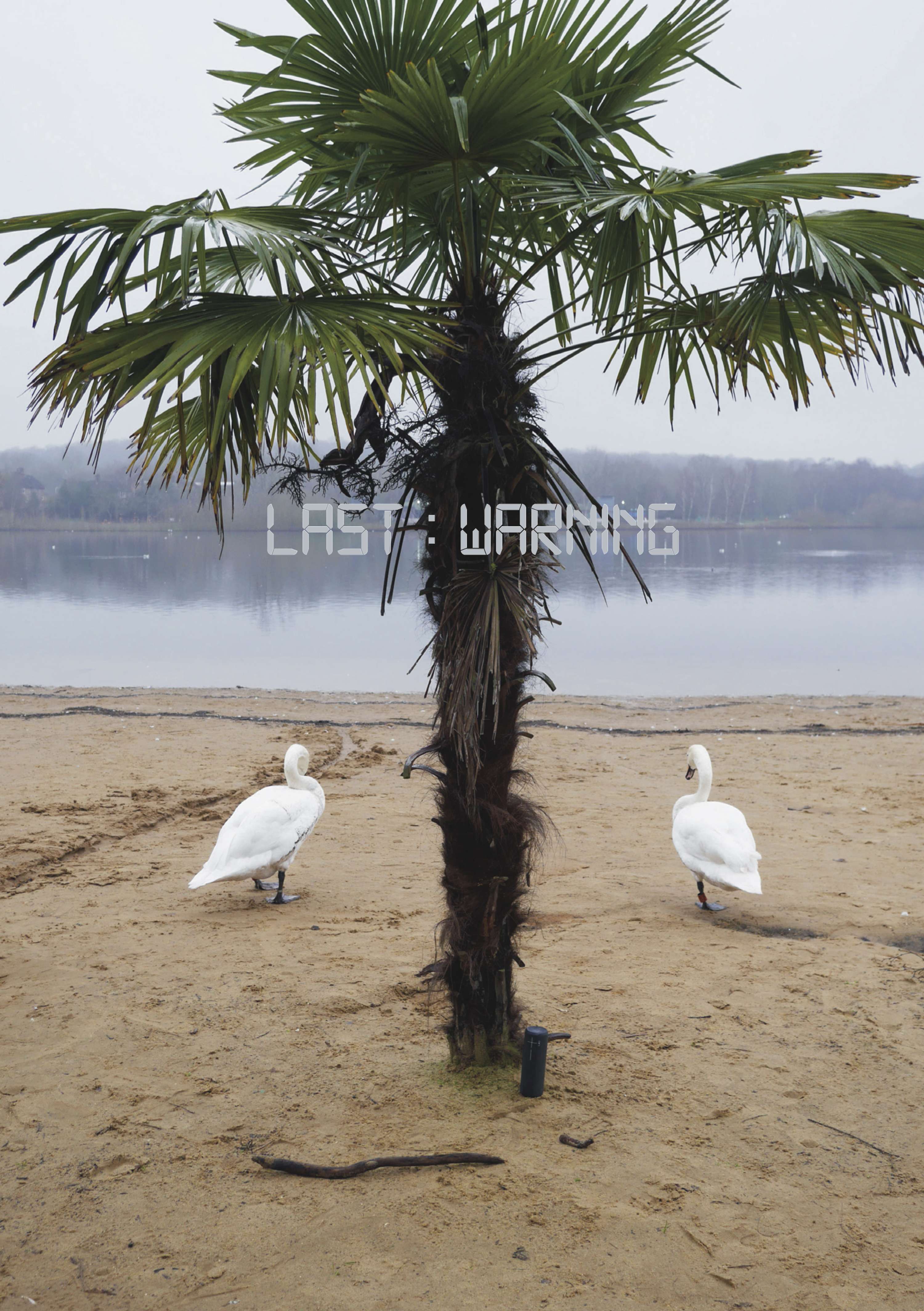 The Last Warning by Cimmie Dhanda