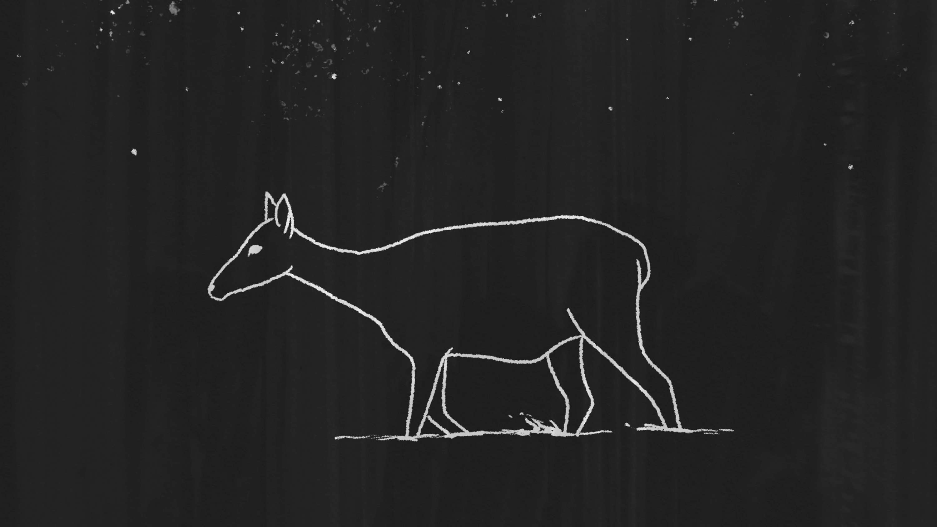 Kate Tempest - Unholy Elixir Video by Natalya Lobanova