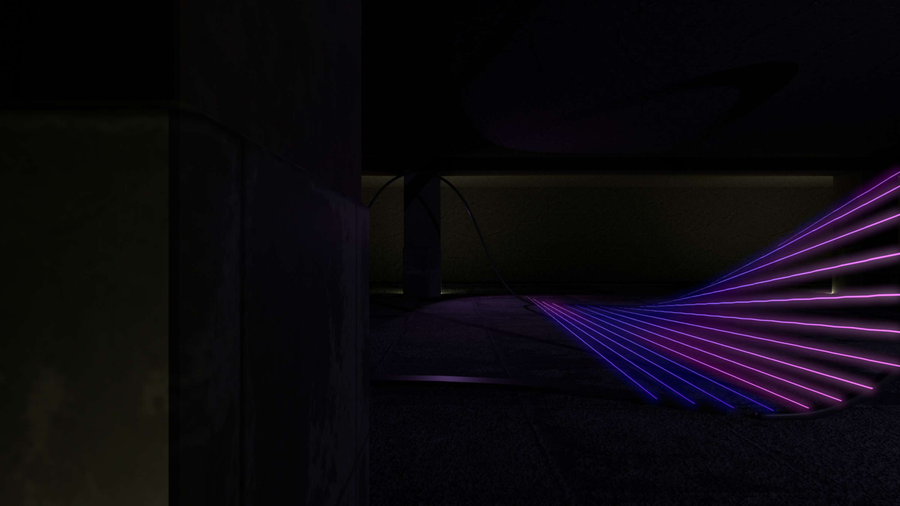 Phenomena by Alex Leyva