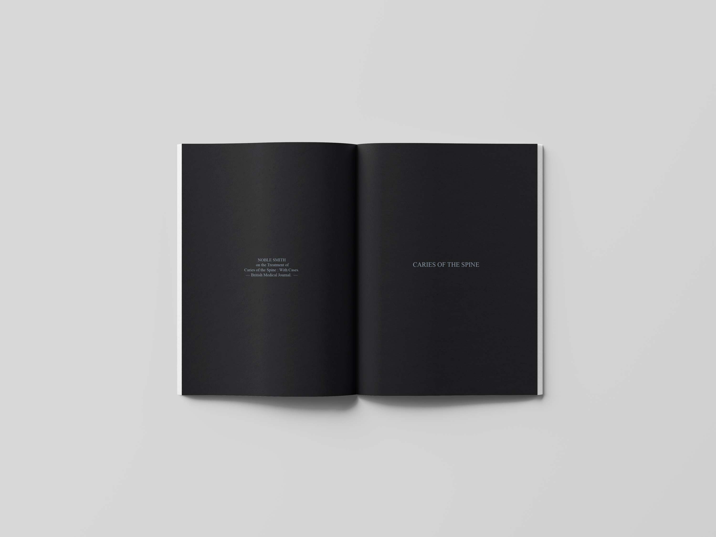 Editorial Design by Cicely Scates