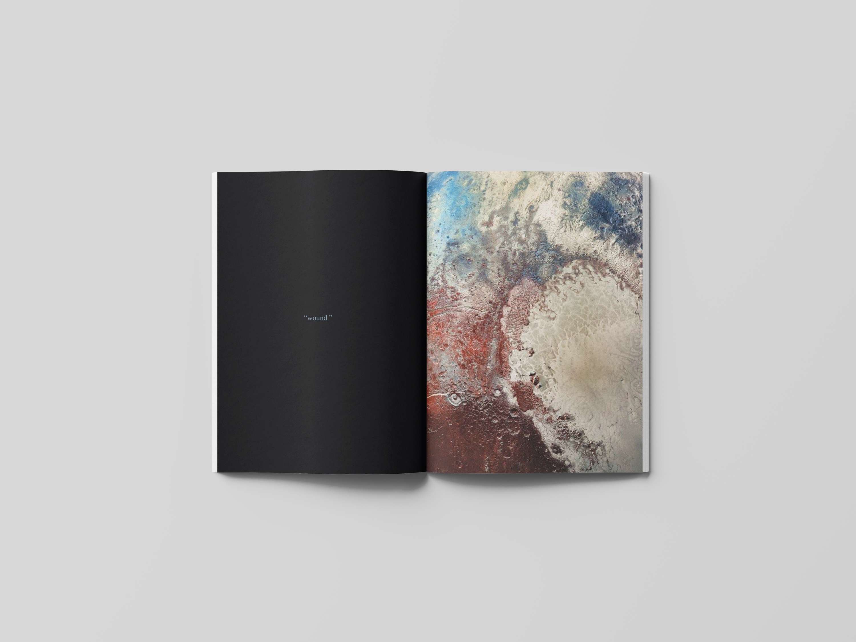 Editorial Design by Cicely Scates