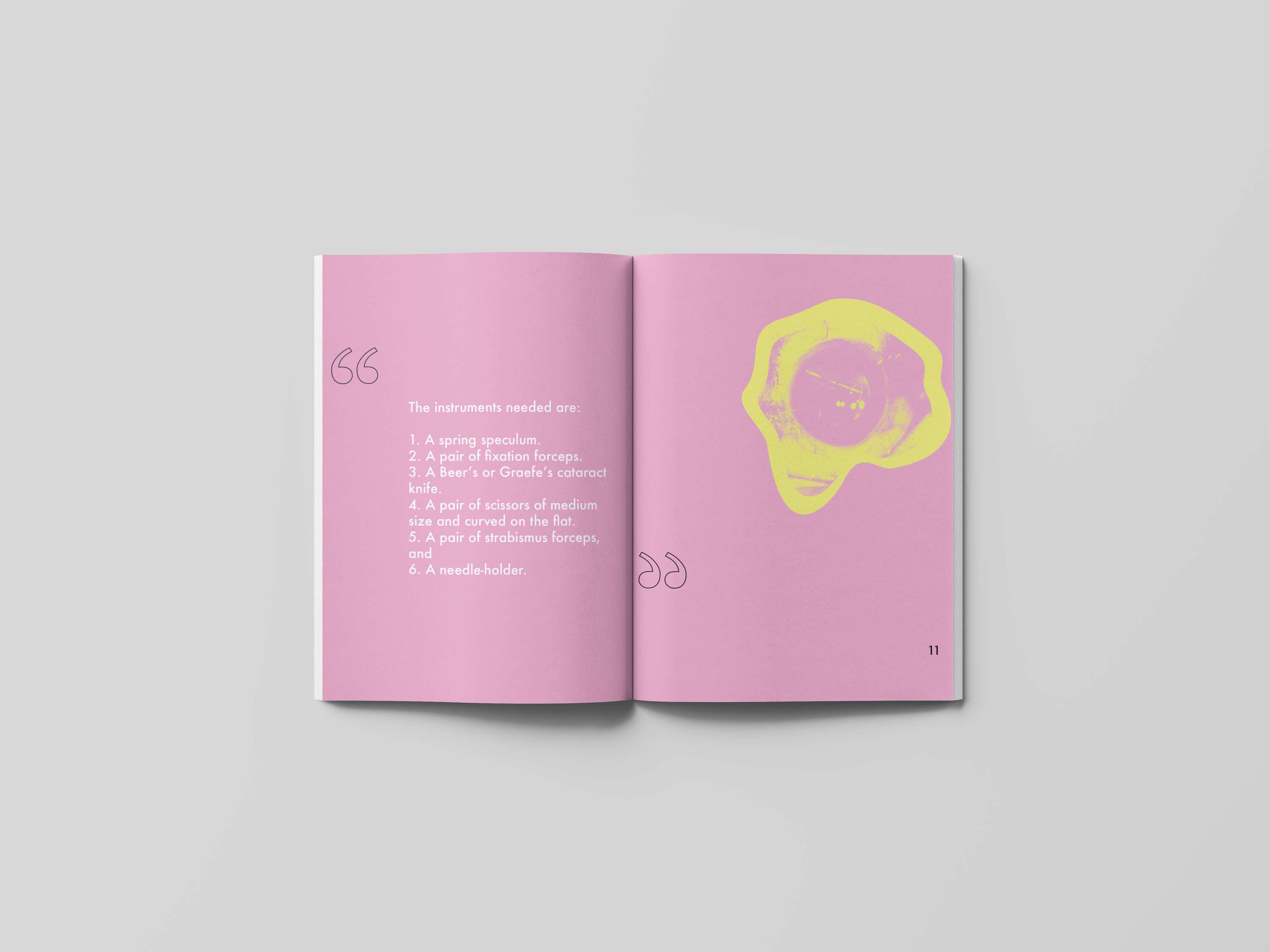 Editorial Design by Cicely Scates