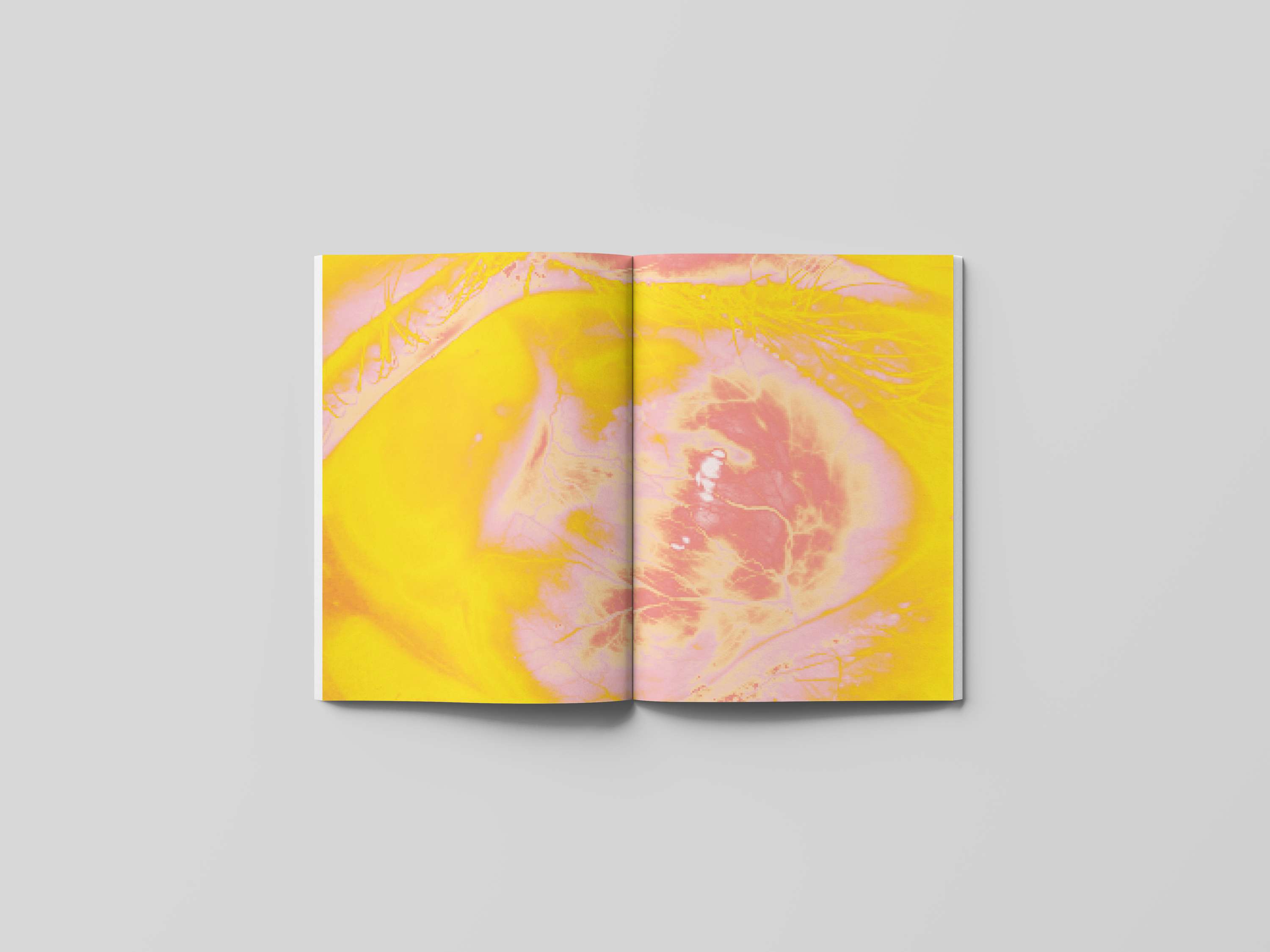 Editorial Design by Cicely Scates