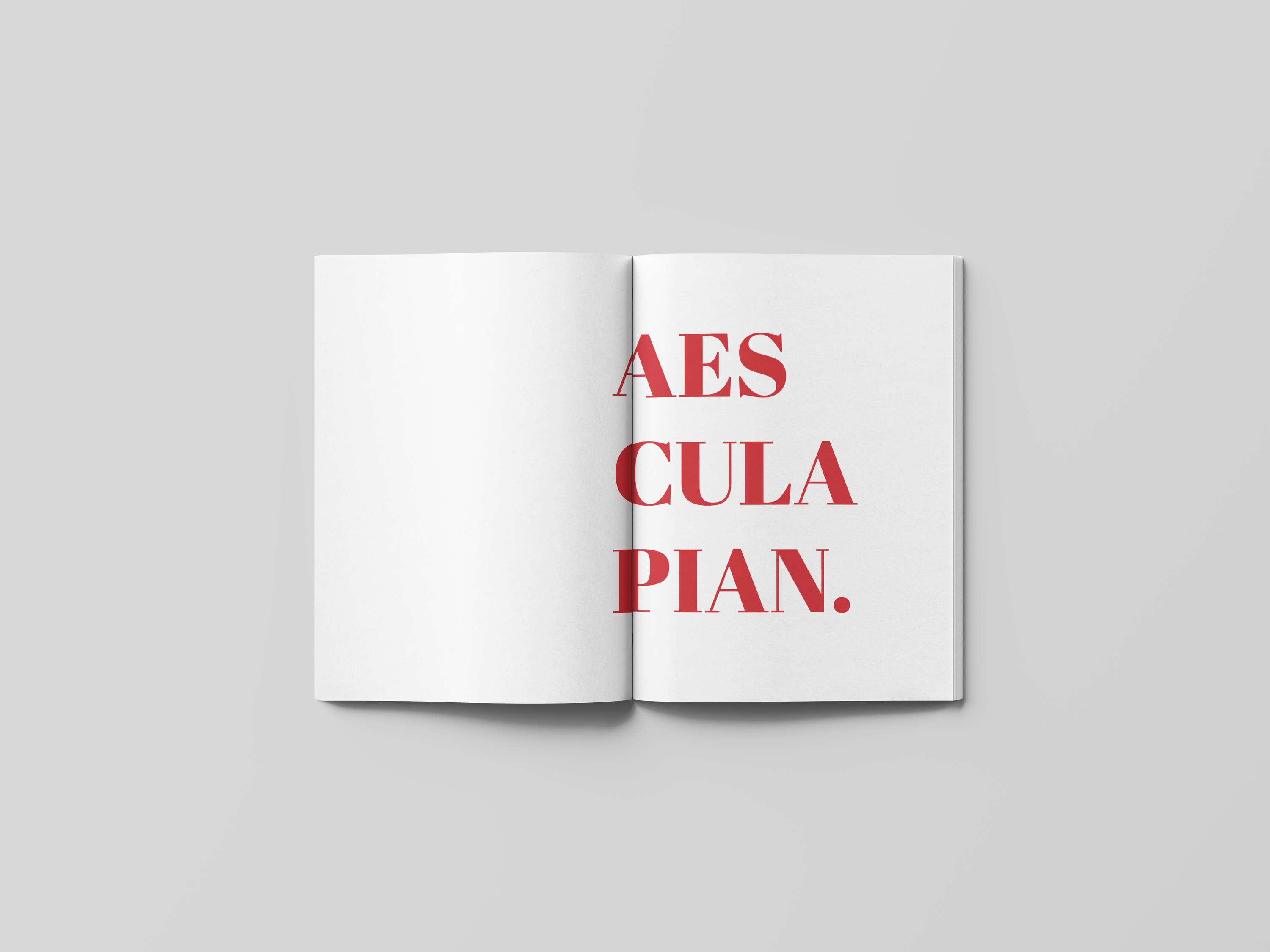 Editorial Design by Cicely Scates