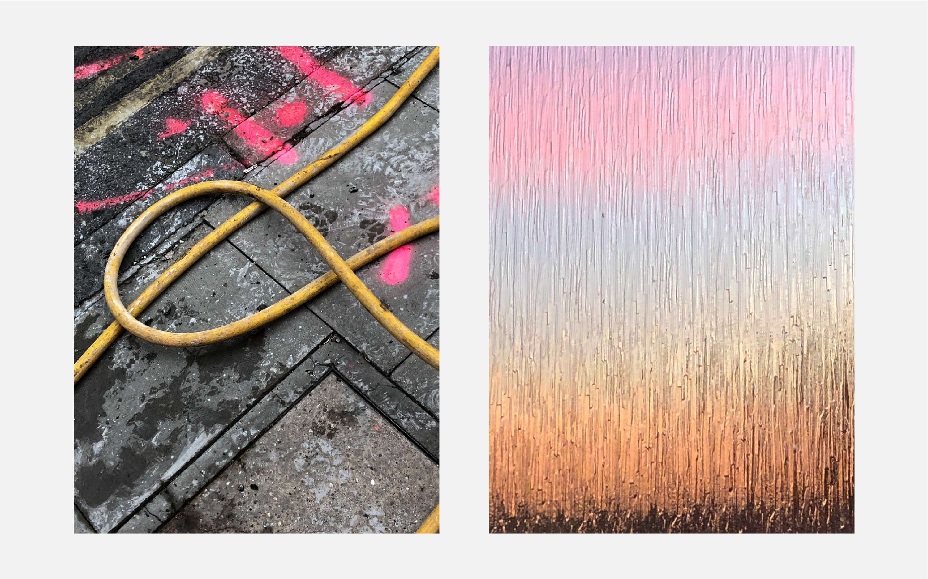 Unexotic Arrangements by Will Edgecombe