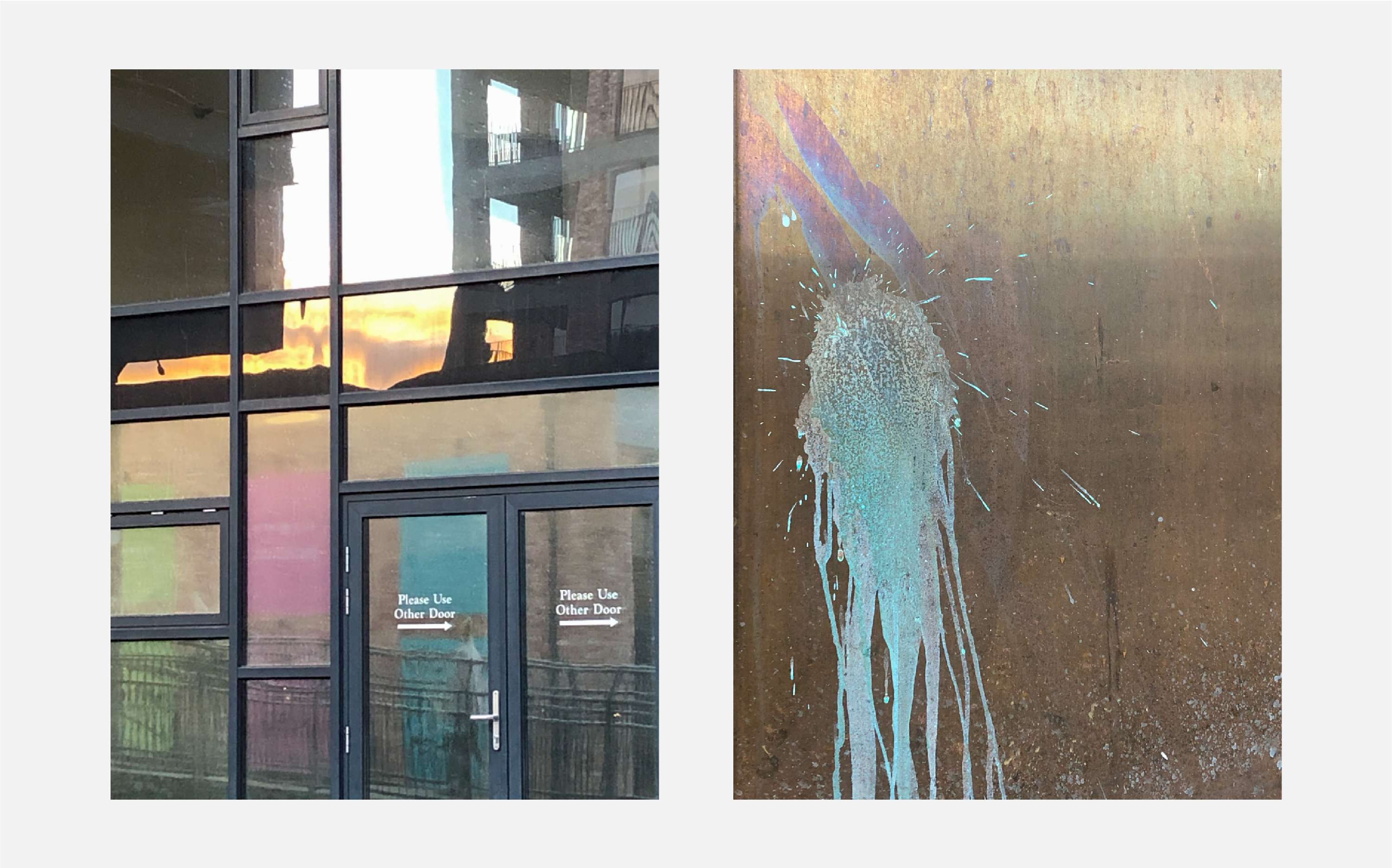 Unexotic Arrangements by Will Edgecombe