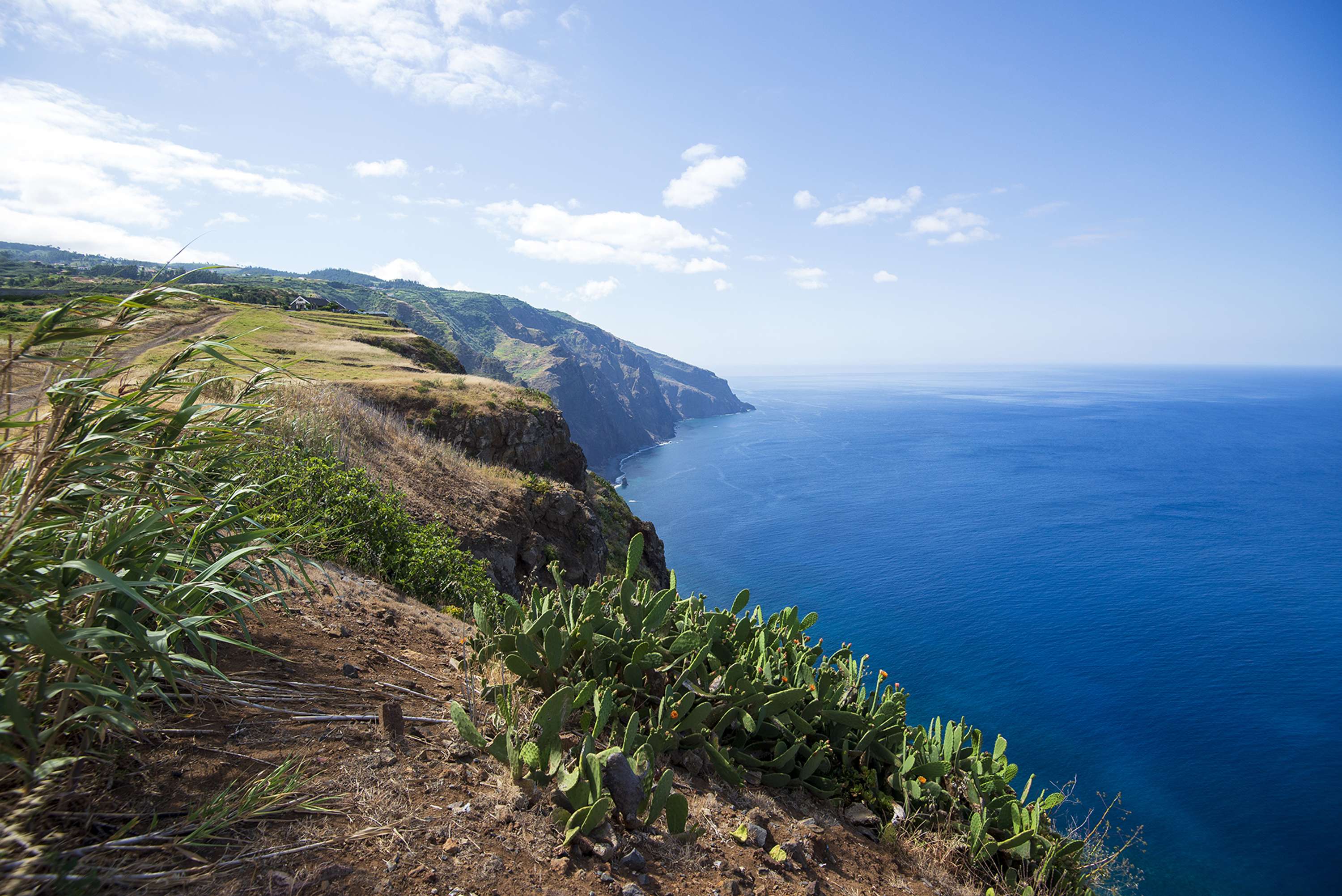 Madeira - Part 1 by Lucia Rusinakova