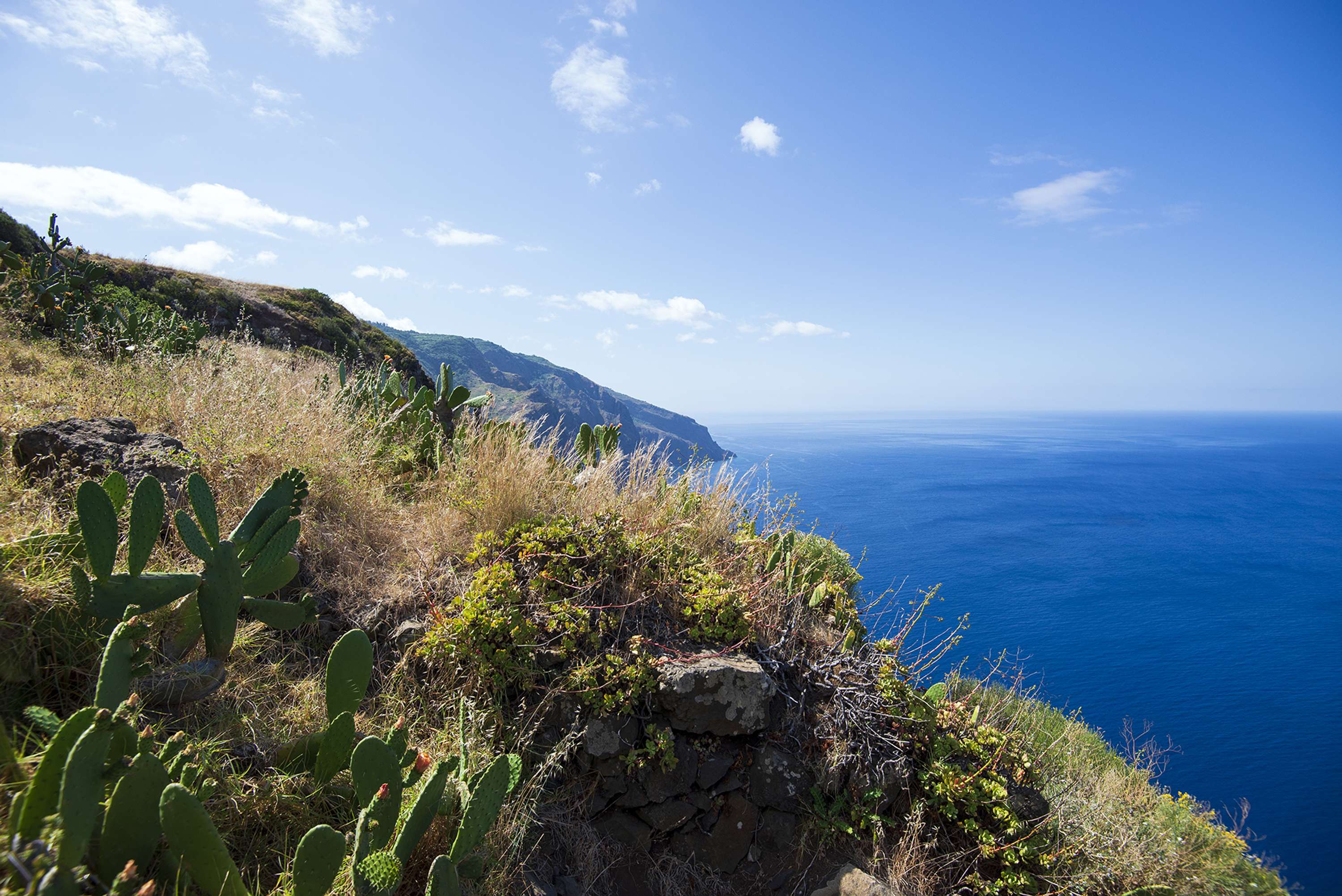 Madeira - Part 1 by Lucia Rusinakova