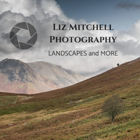 LIZ MITCHELL PHOTOGRAPHY logo