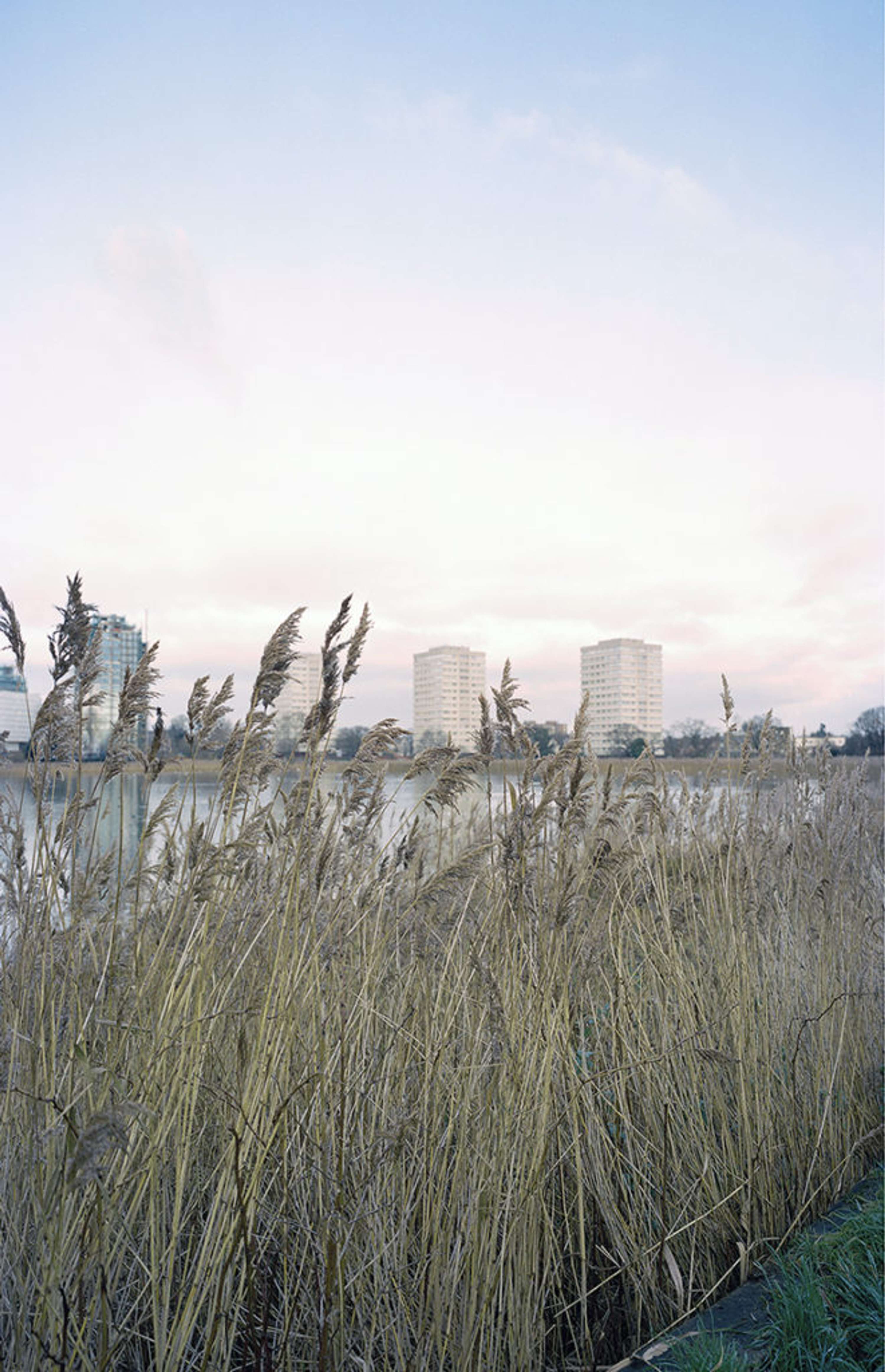 Daniel Harrington’s Without A Sense Of Caring There Can Be No Sense Of Community - Then There Was Us Magazine Feature by Edward John