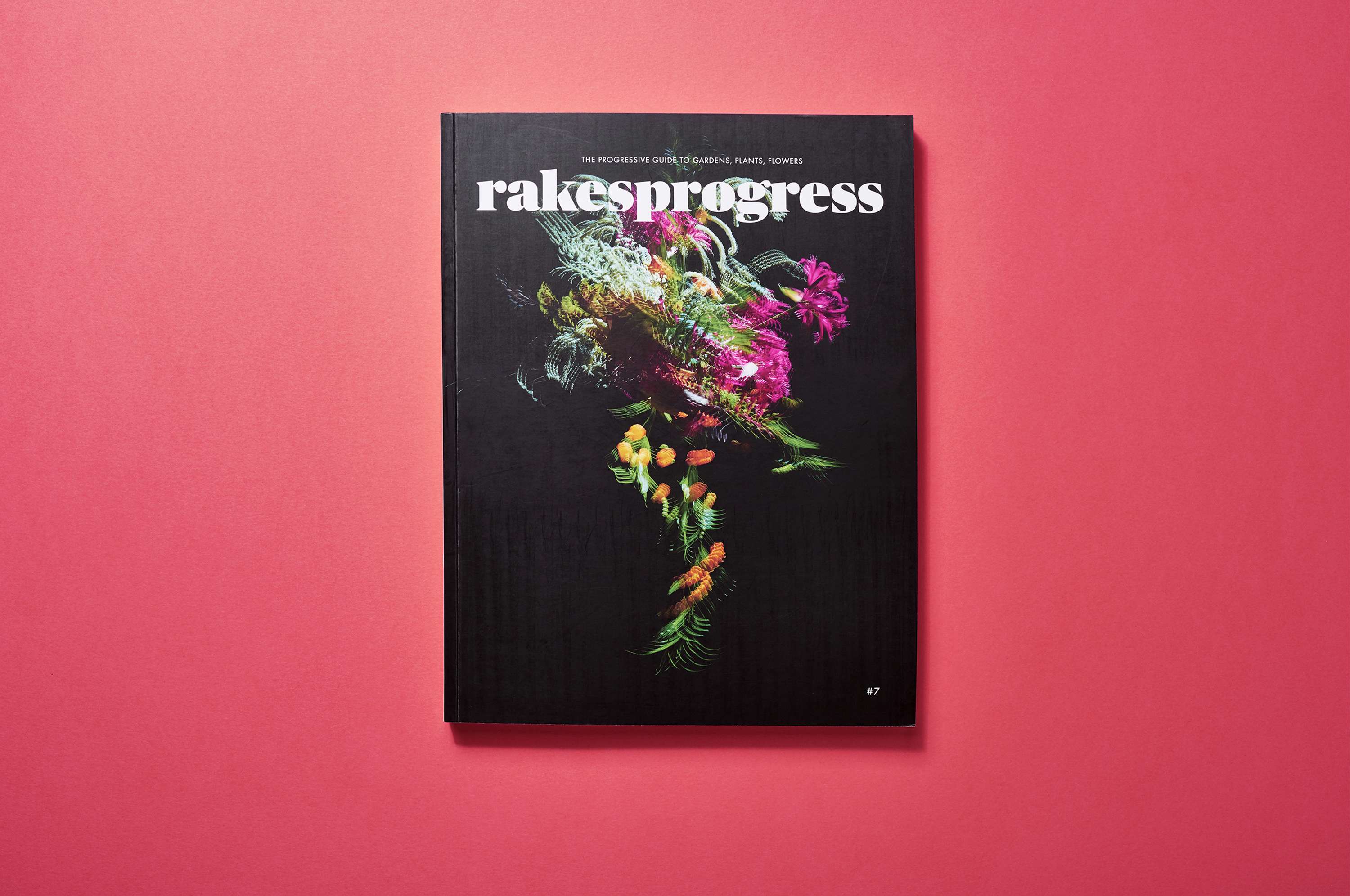 Rakesprogress by Antonia Huber