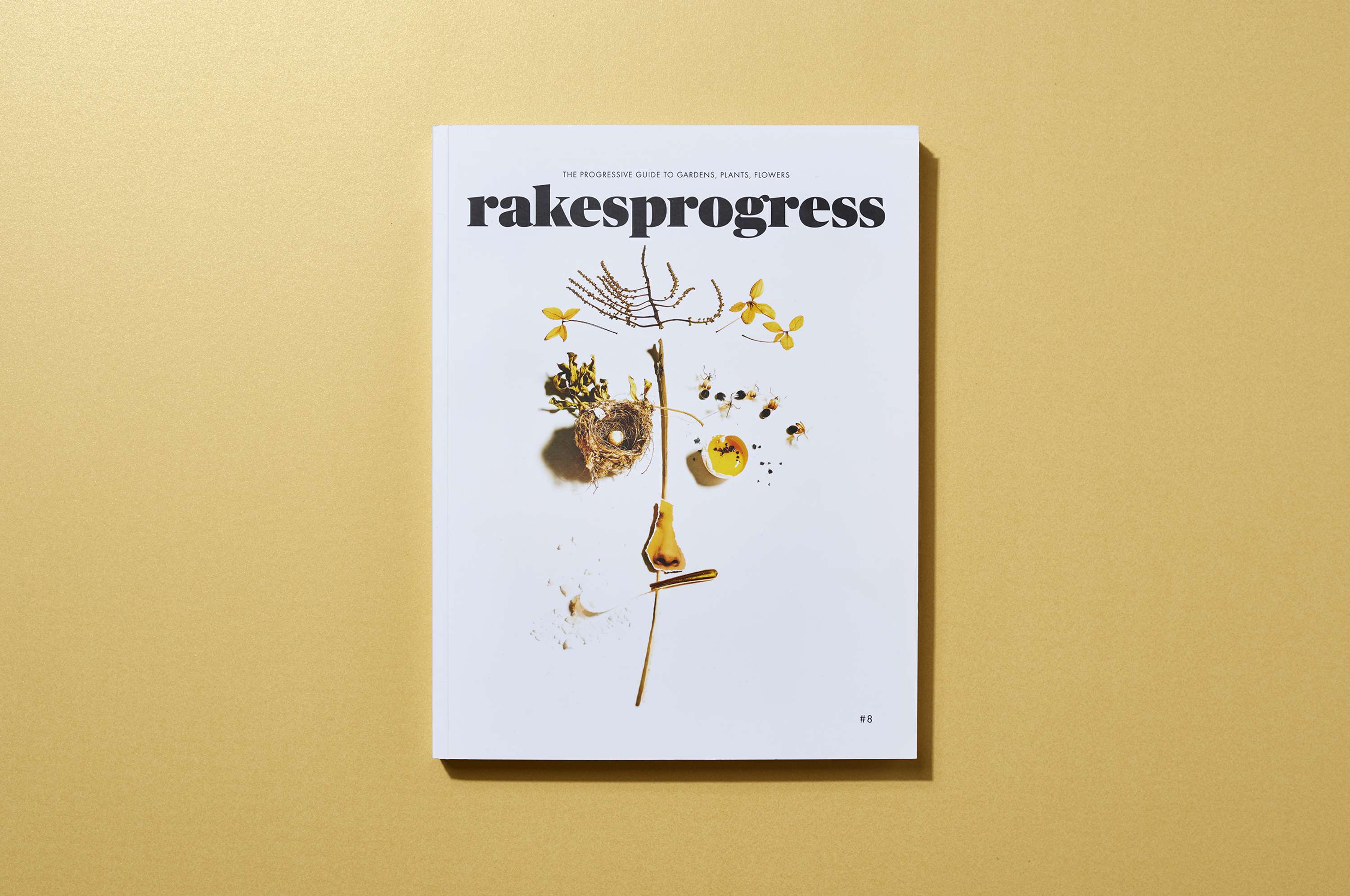Rakesprogress by Antonia Huber