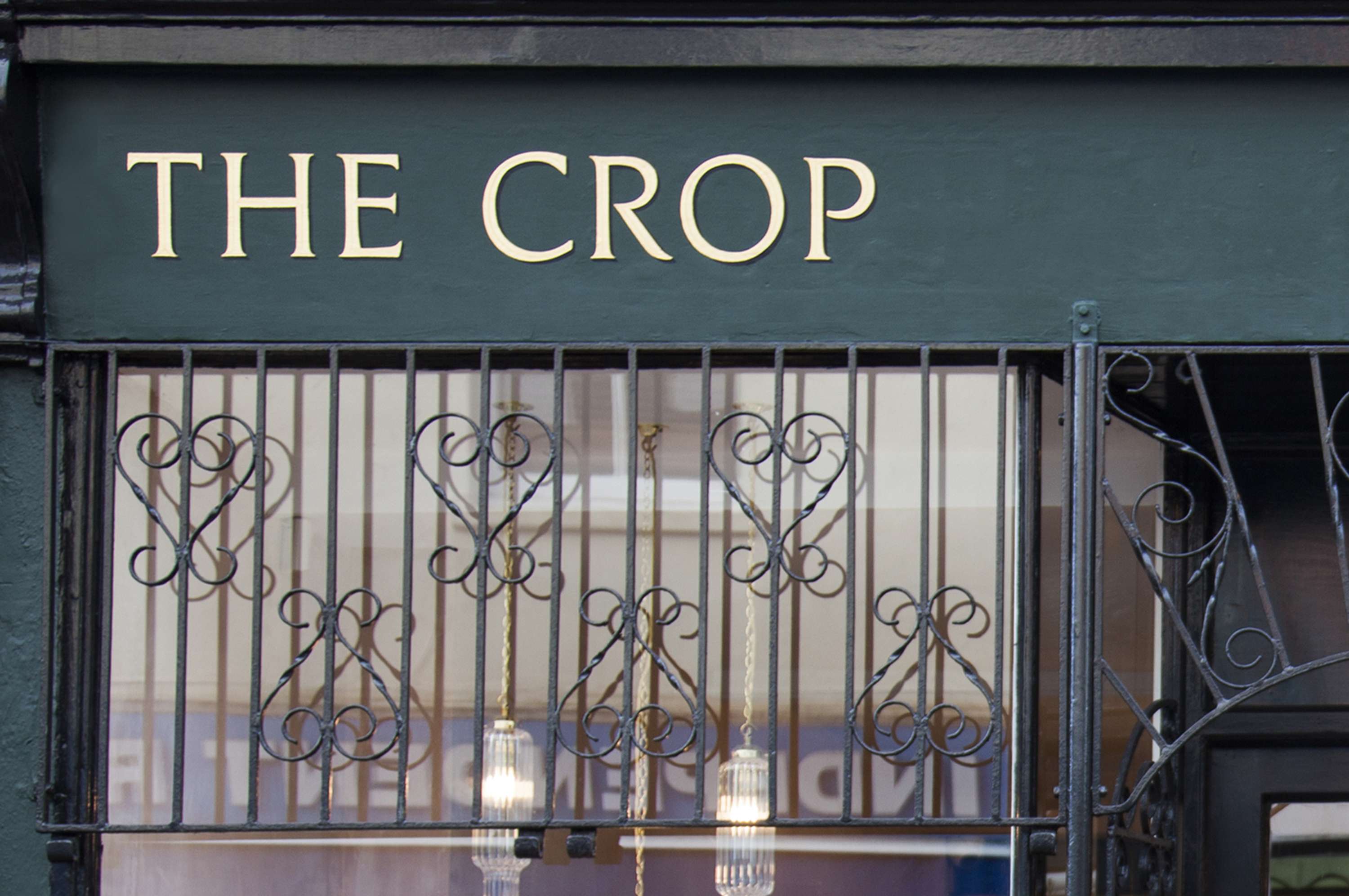 The Crop by Antonia Huber