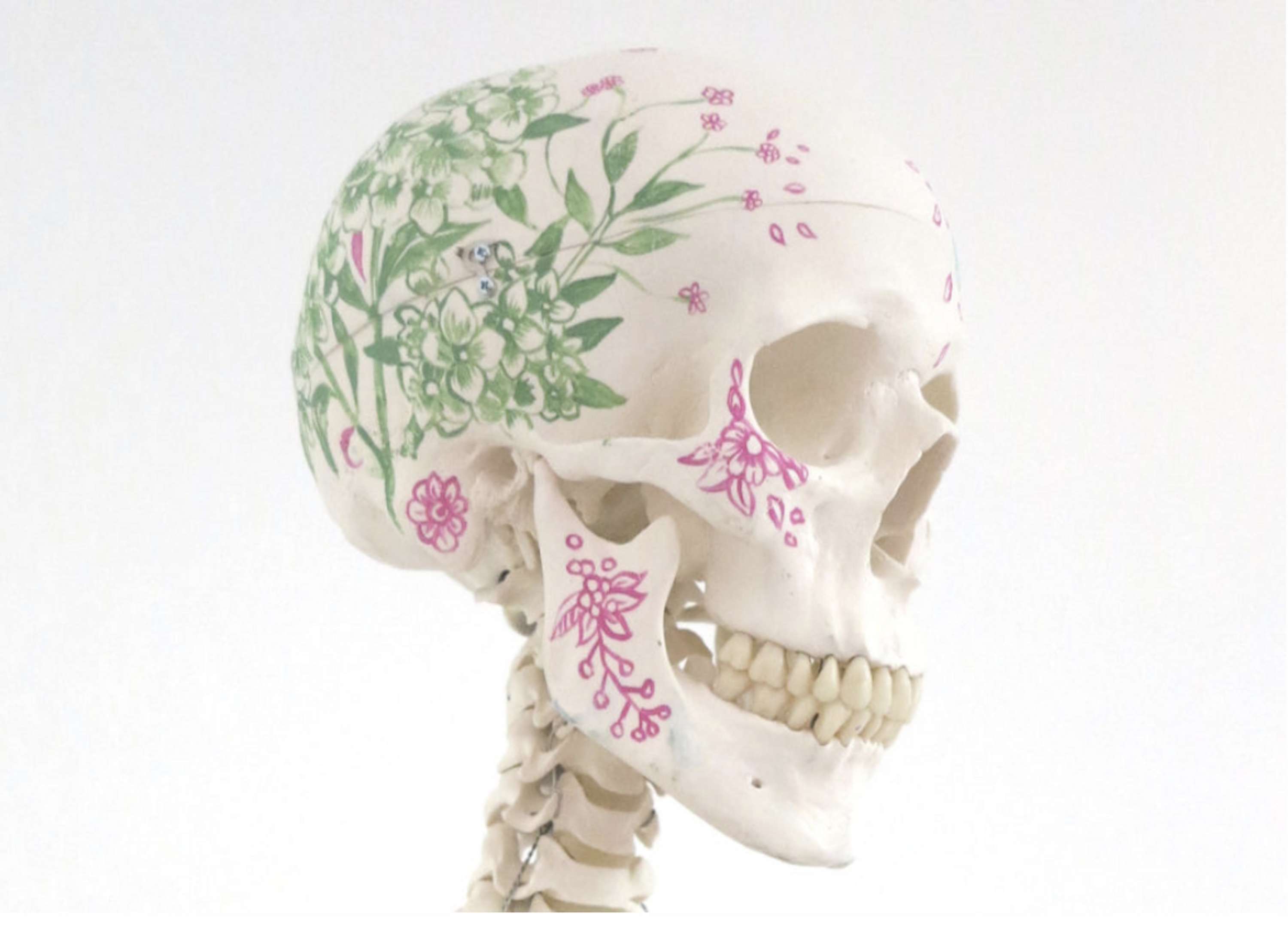 Botanical Skeleton by Good Wives & Warriors