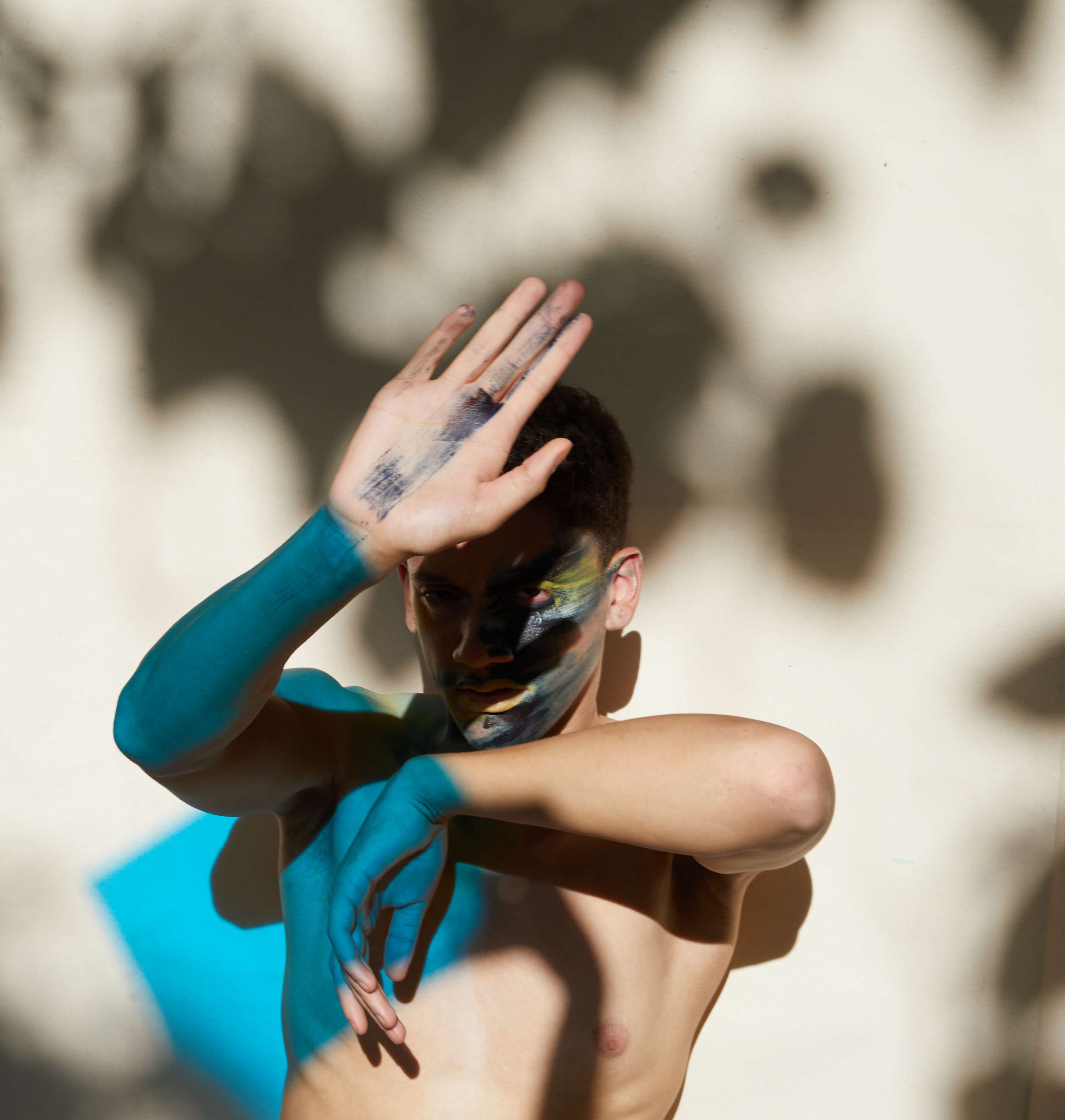 Transmissions by Birute Paukstyte