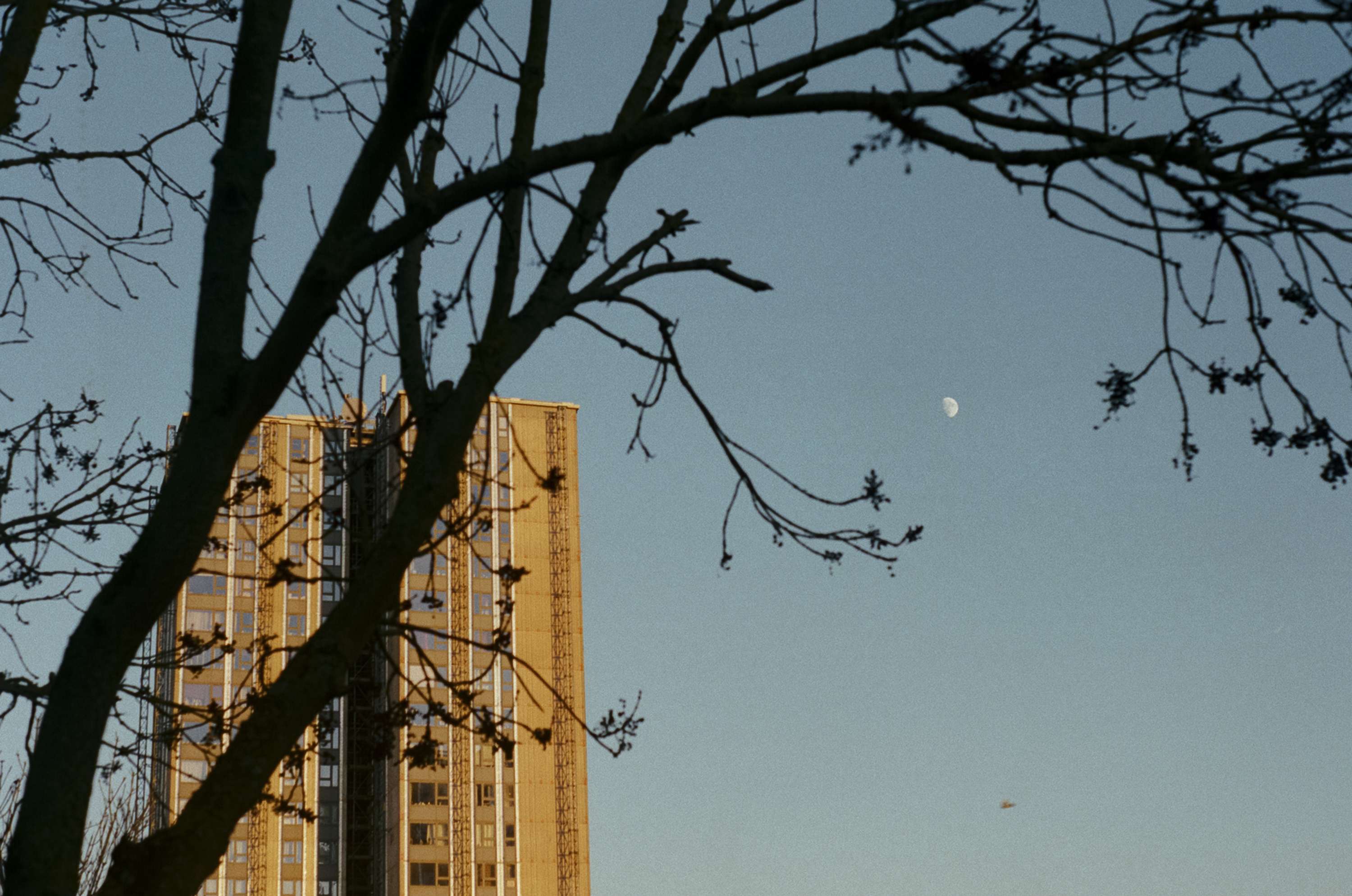 Blighty by Imogen Forte