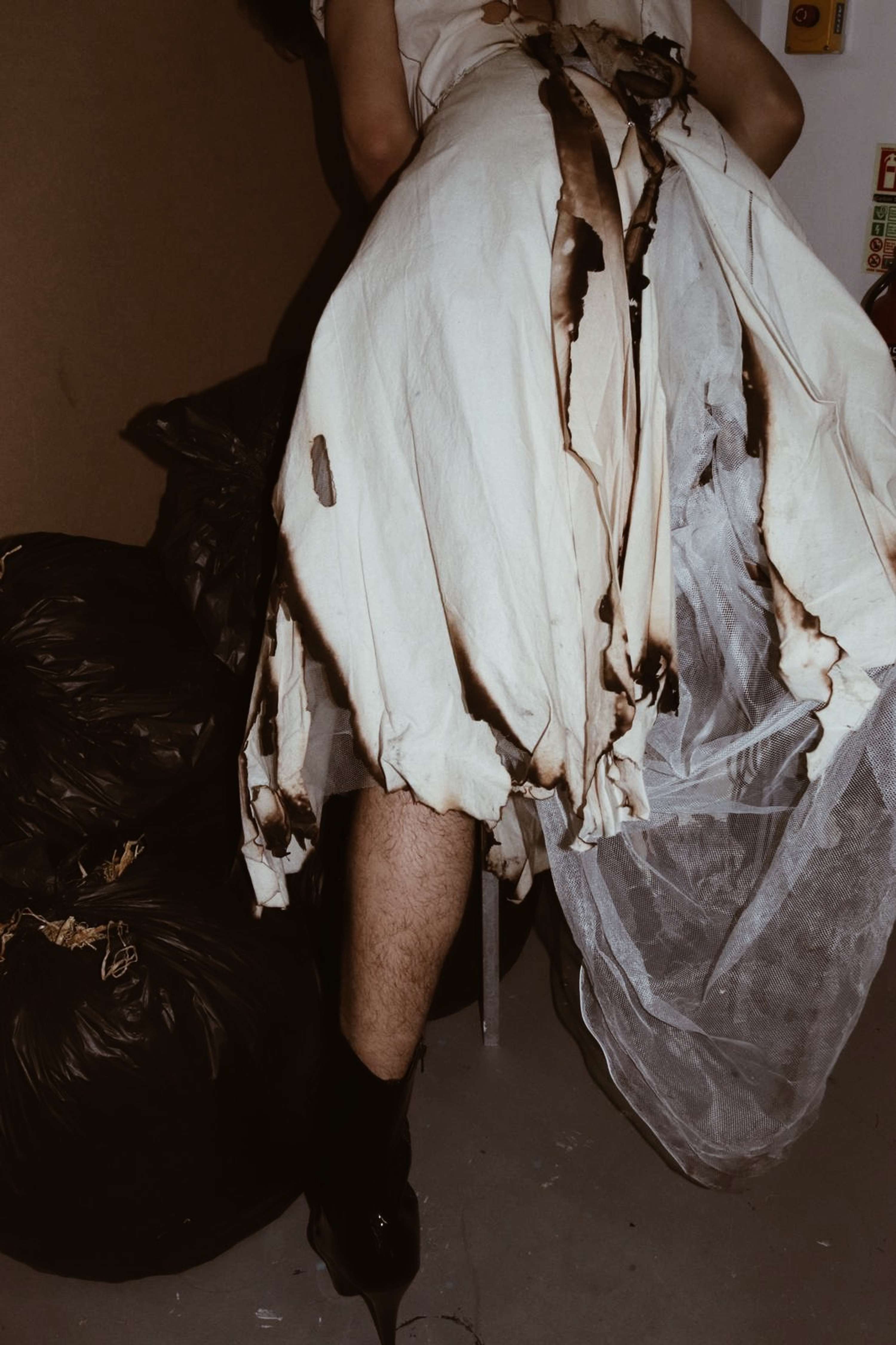 Consumed by Brian De Carvalho
