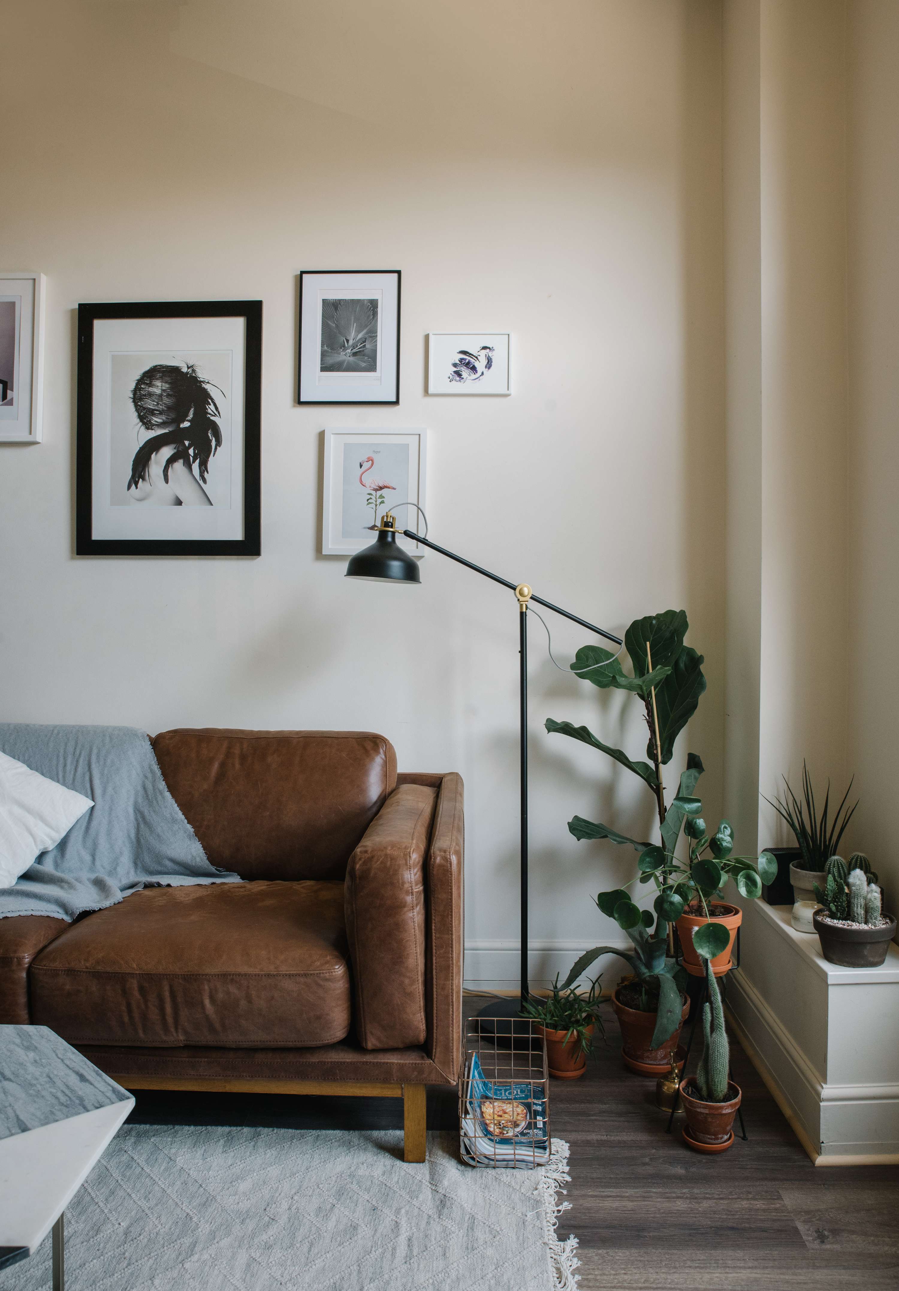 West Elm - Front + Main by Lucie Stone