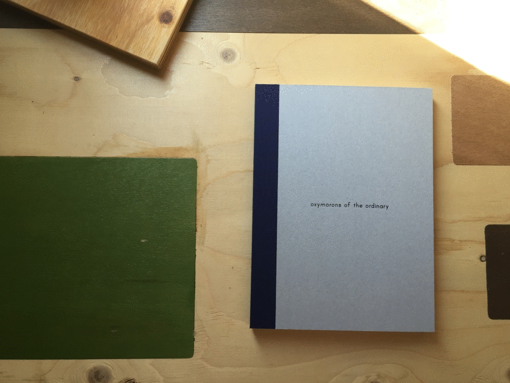 self published book by Linda Caracciolo Borra / Orbac