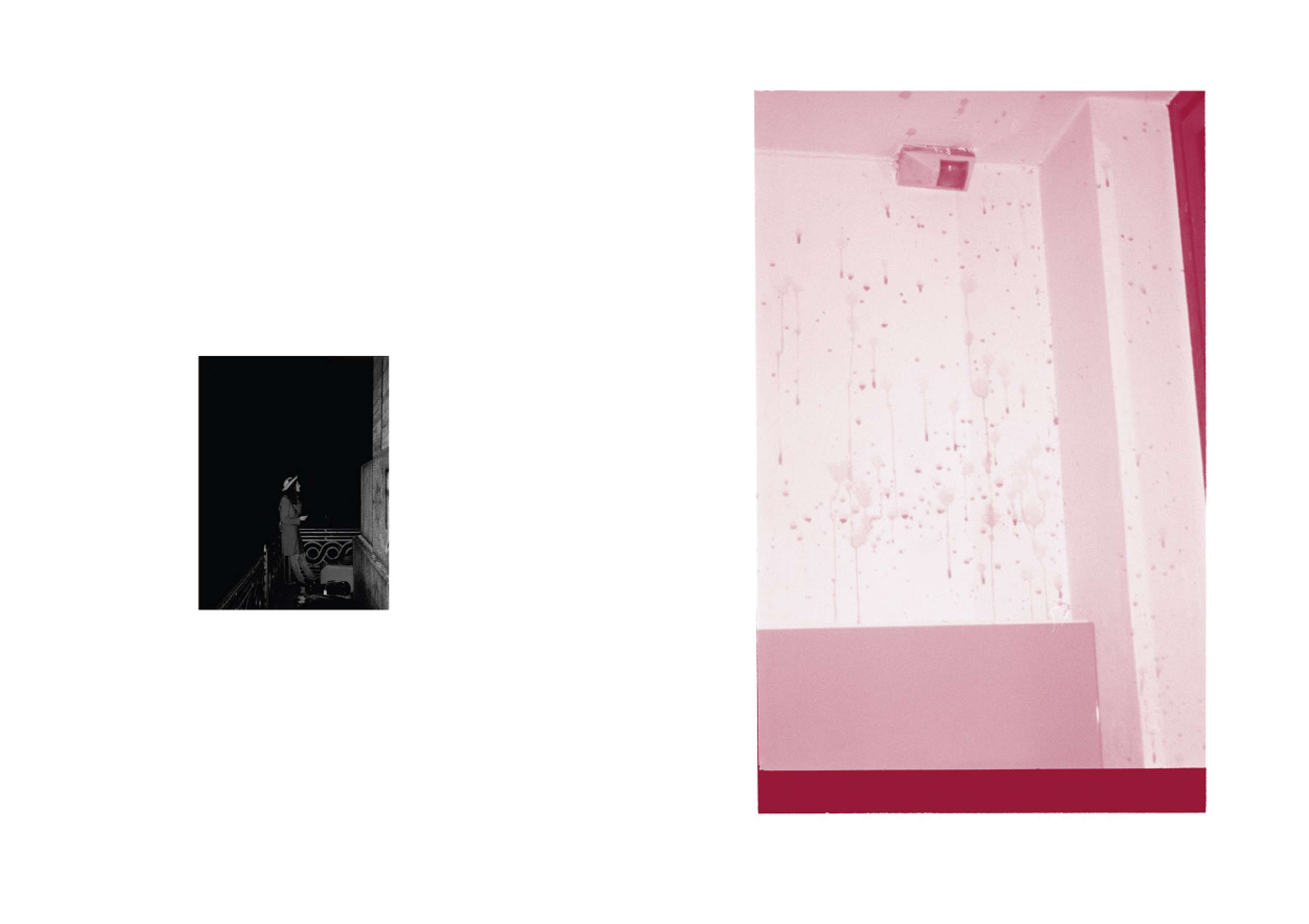 self published book by Linda Caracciolo Borra / Orbac