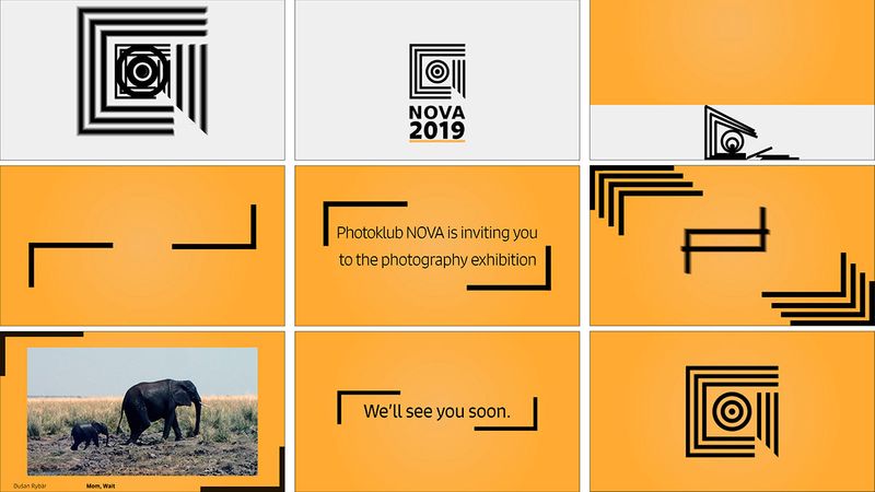 Exhibition Identity by Eva Nage Lacuskova