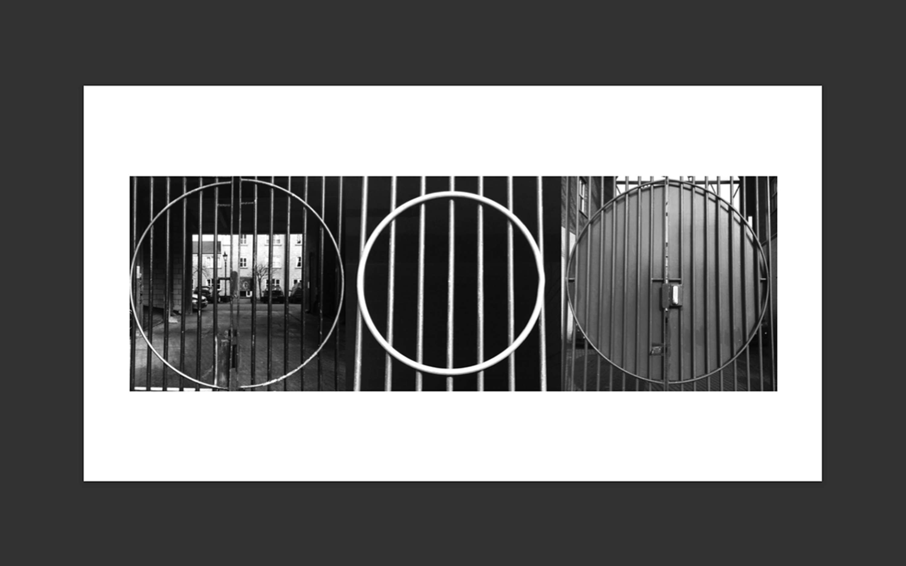 The Domino Project Book by Clelia Giannuoli