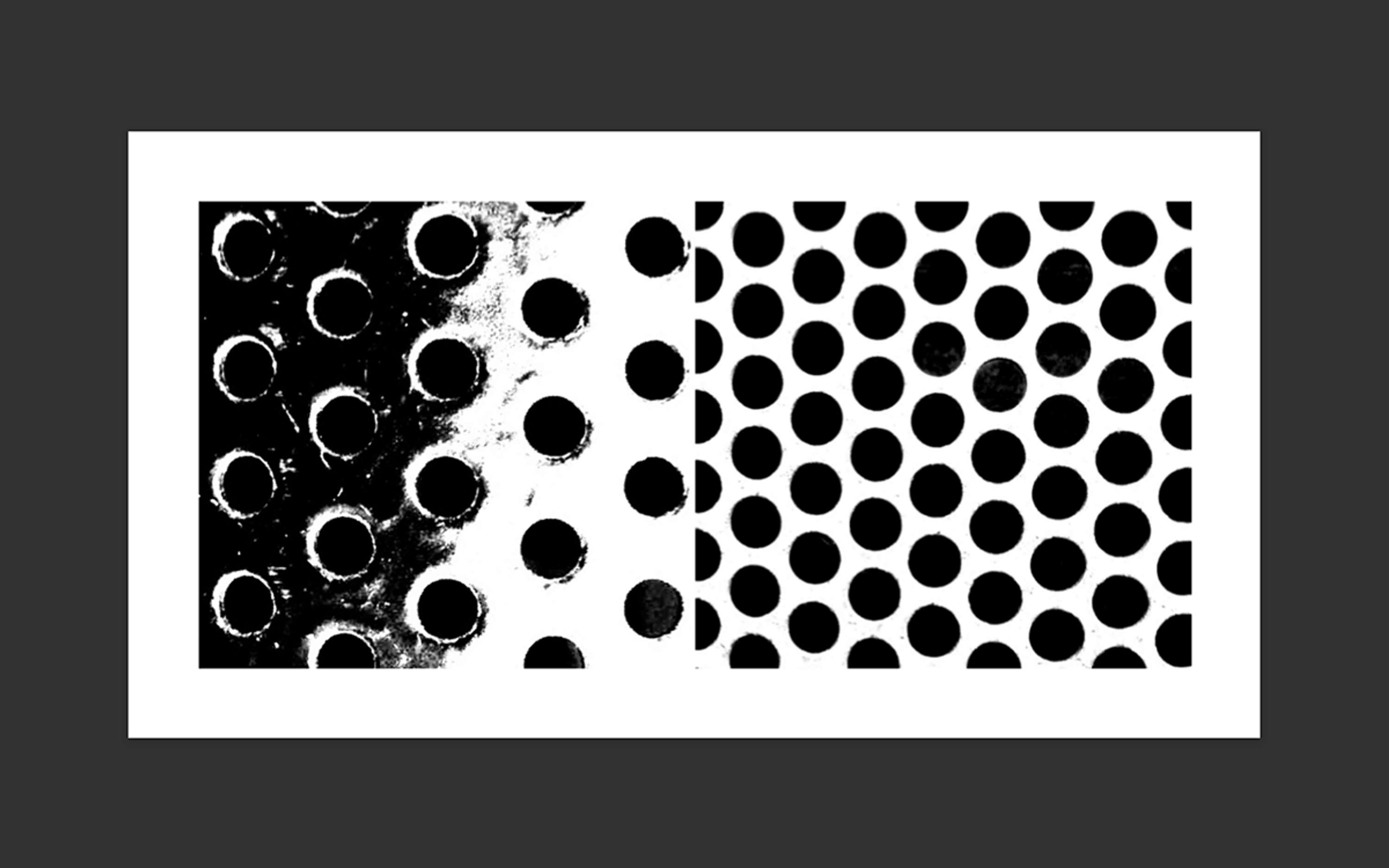 The Domino Project Book by Clelia Giannuoli