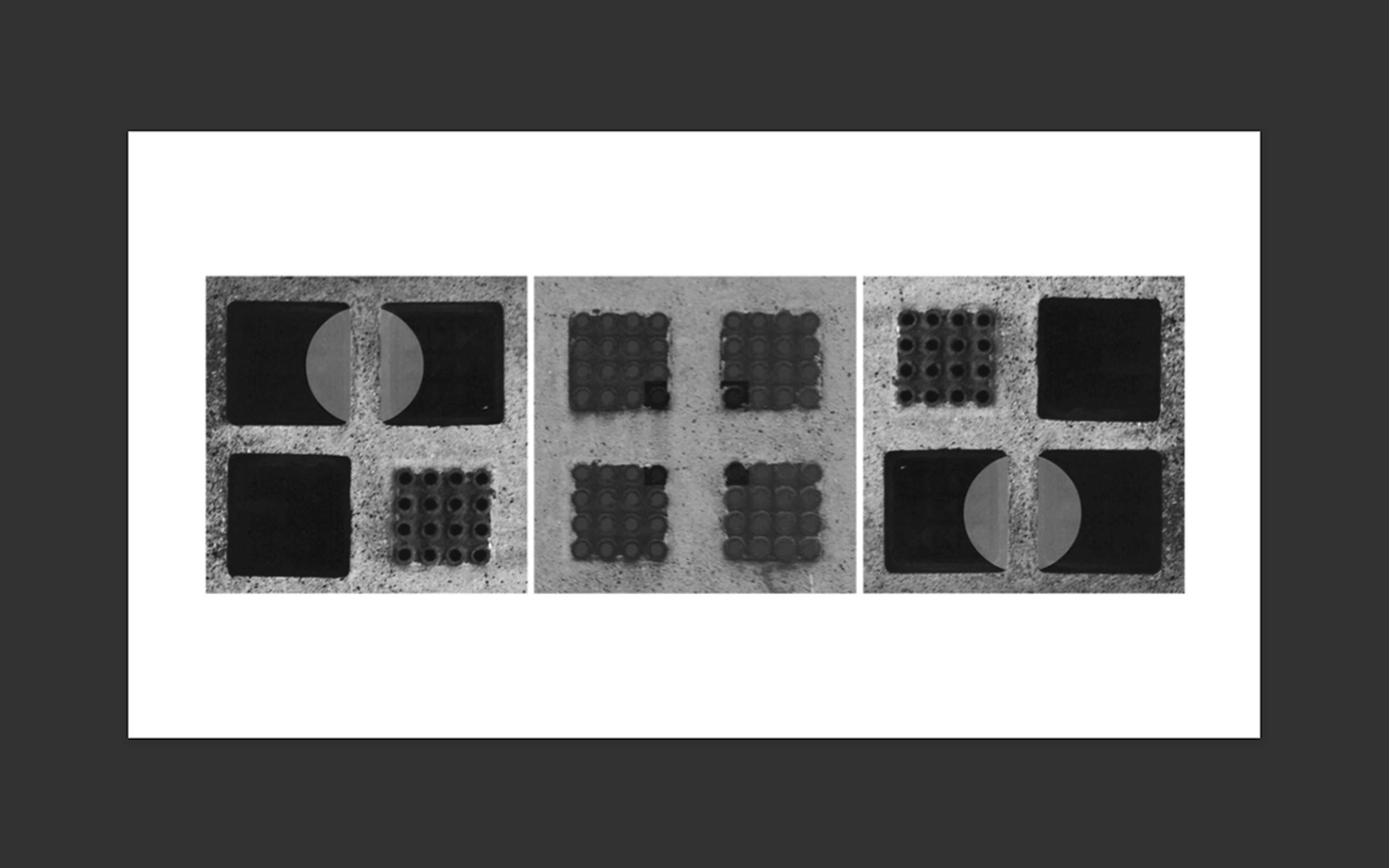 The Domino Project Book by Clelia Giannuoli