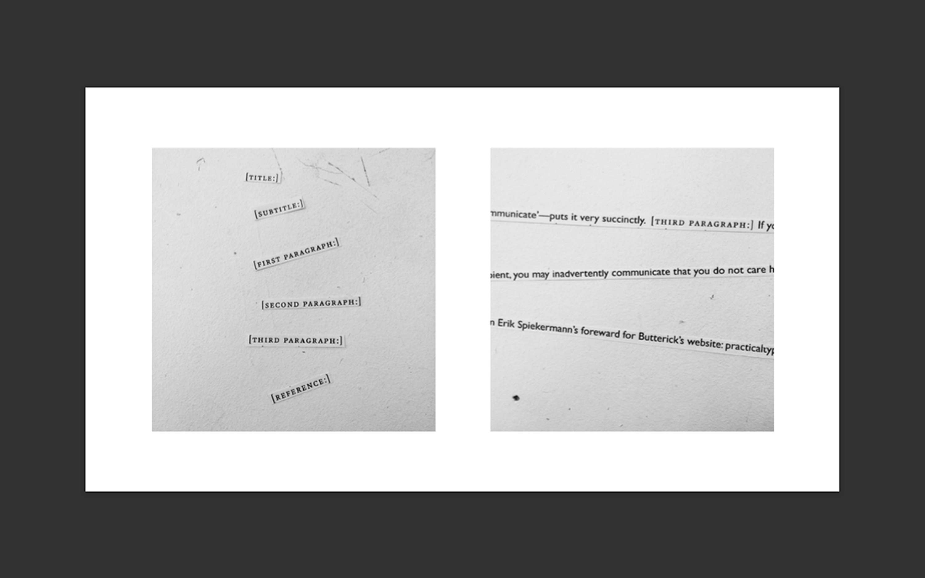 The Domino Project Book by Clelia Giannuoli