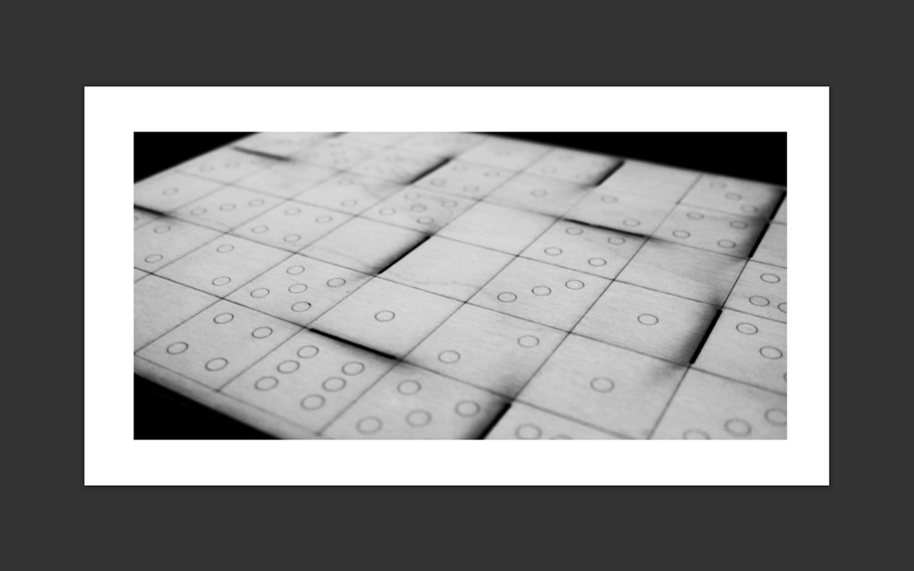 The Domino Project Book by Clelia Giannuoli