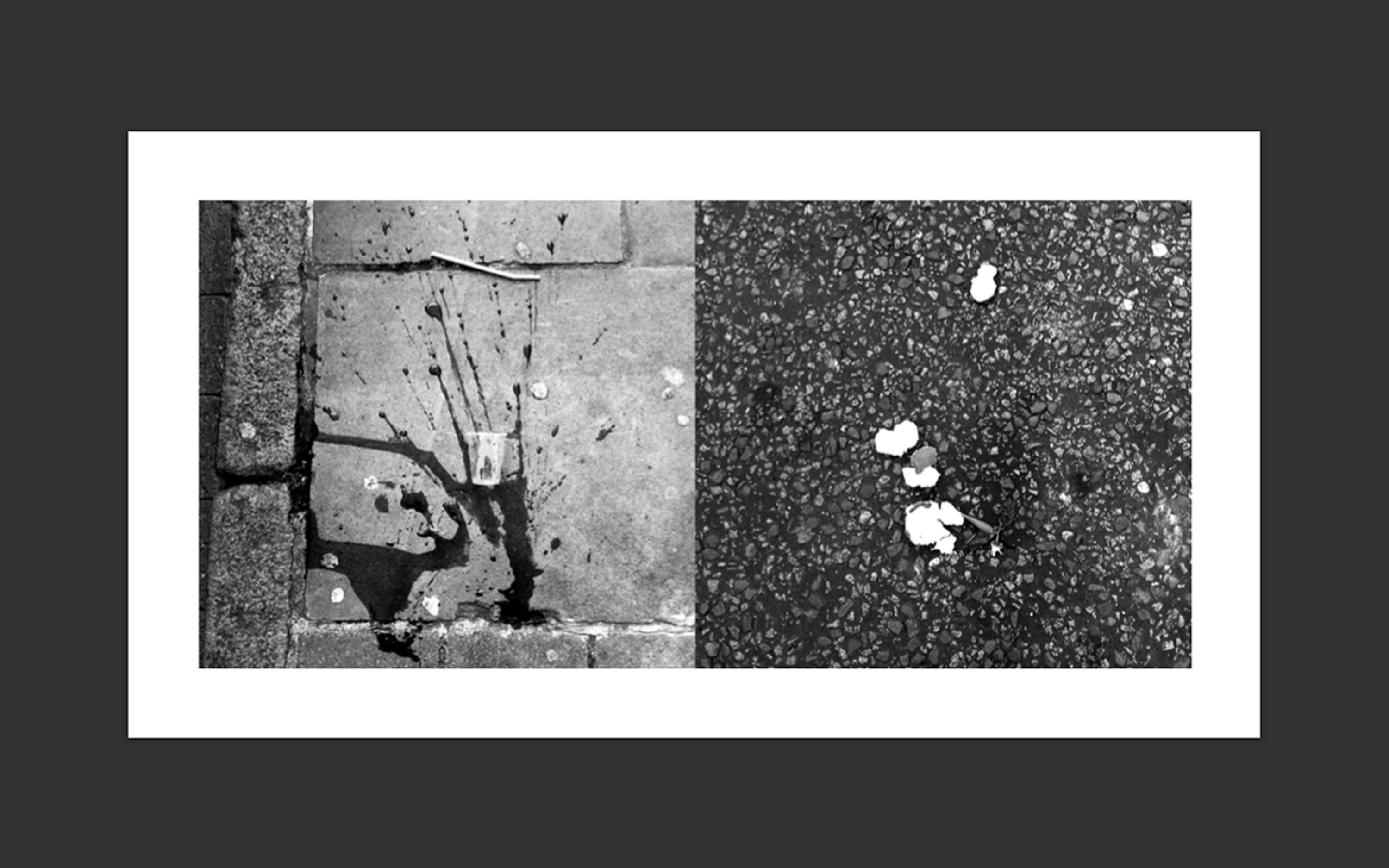 The Domino Project Book by Clelia Giannuoli