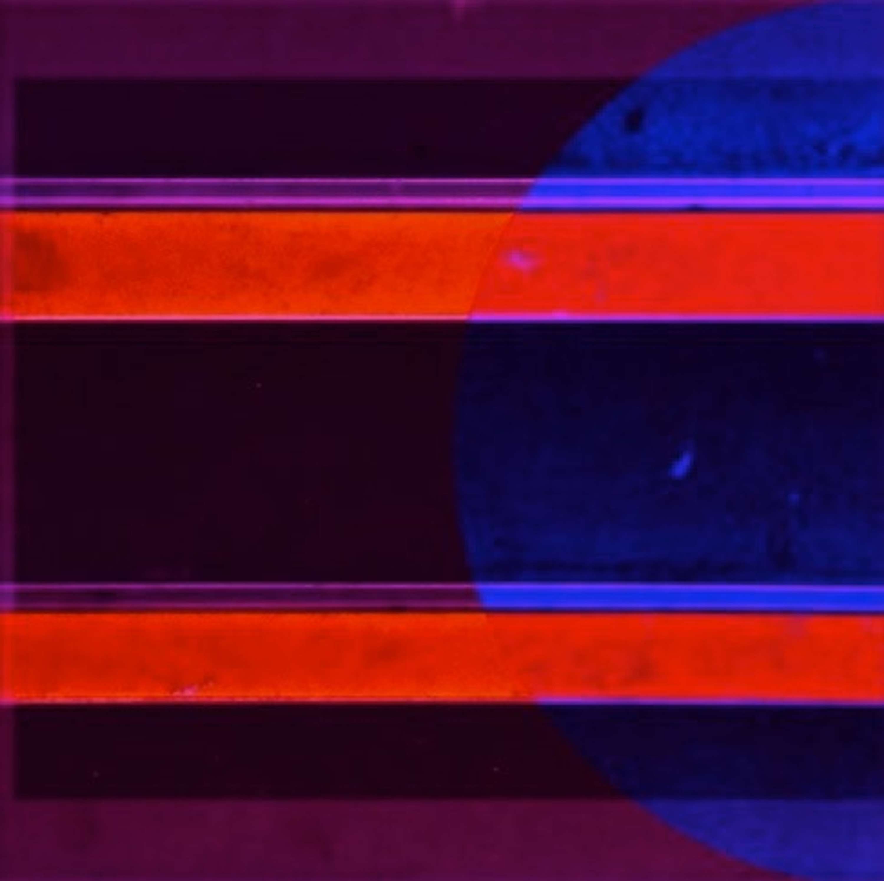 The Window Project by Clelia Giannuoli