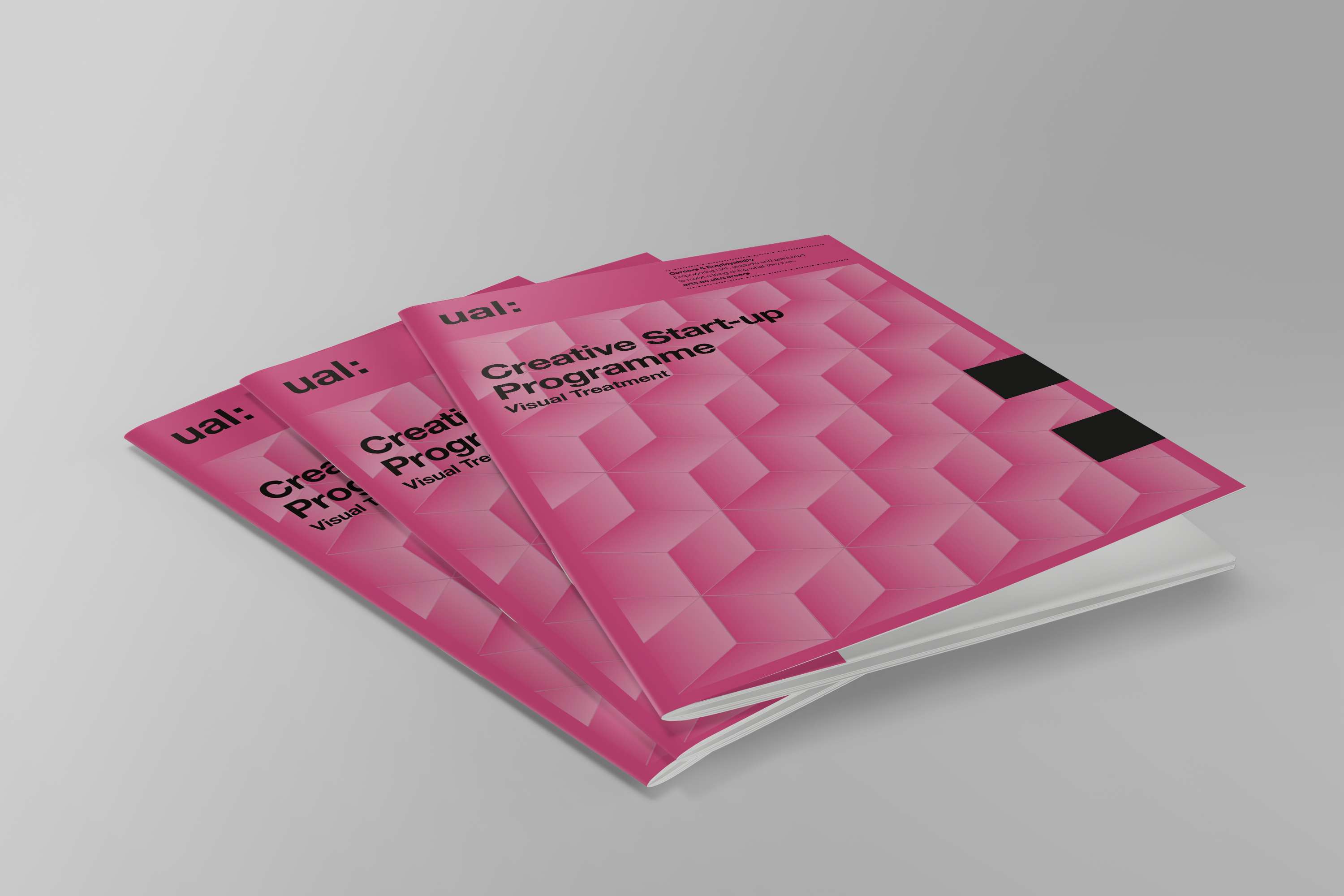 UAL Creative Start-Up Programme Branding by Dominika Chmara