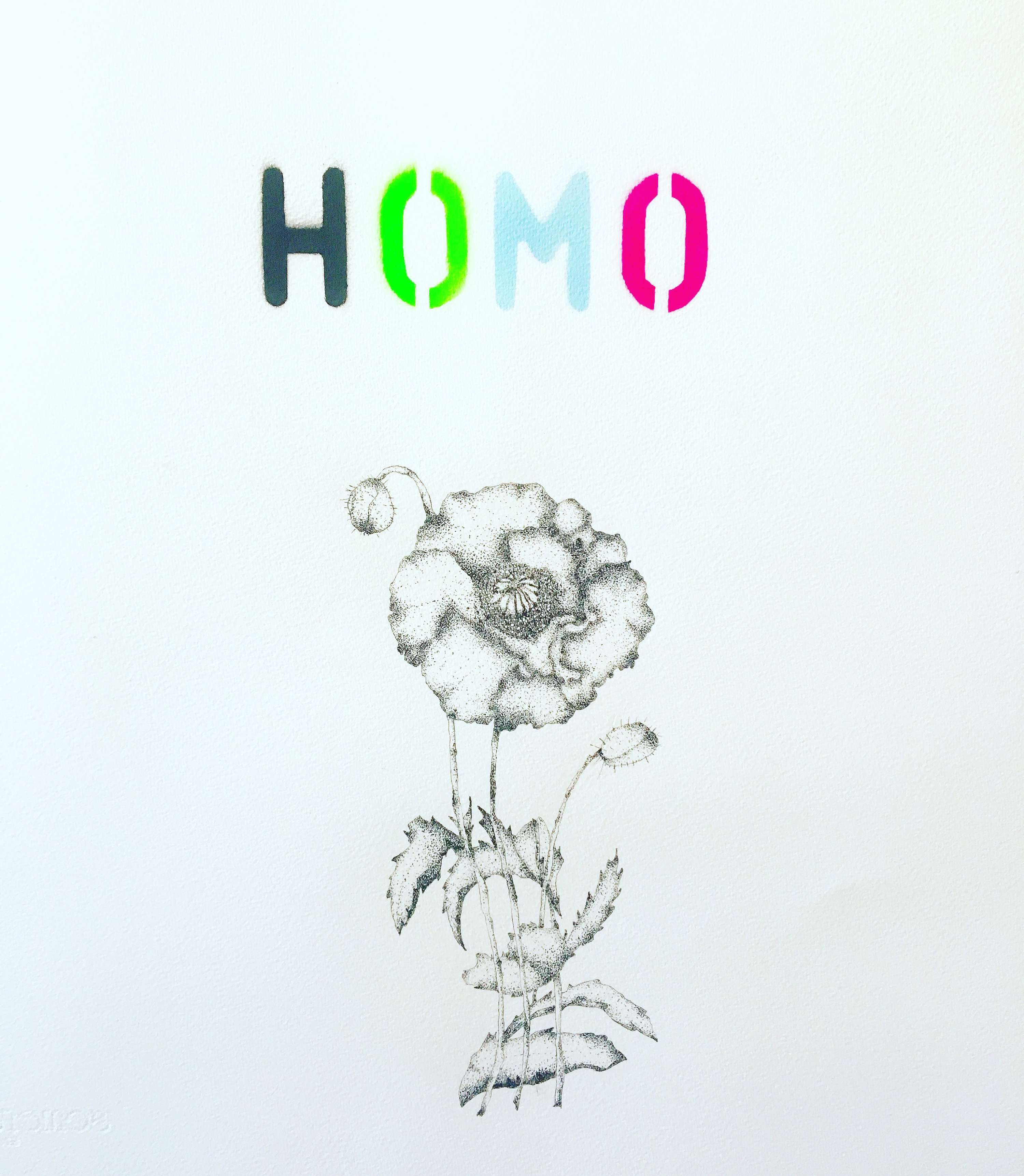 Recent drawing commissions by Anka Dabrowska