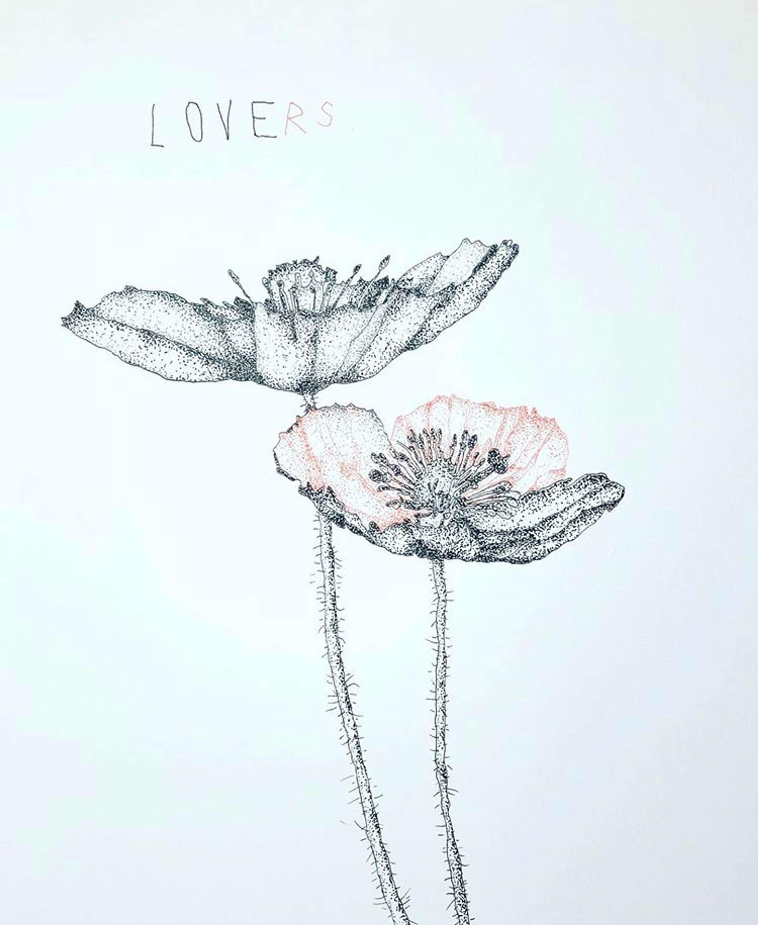 Recent drawing commissions by Anka Dabrowska