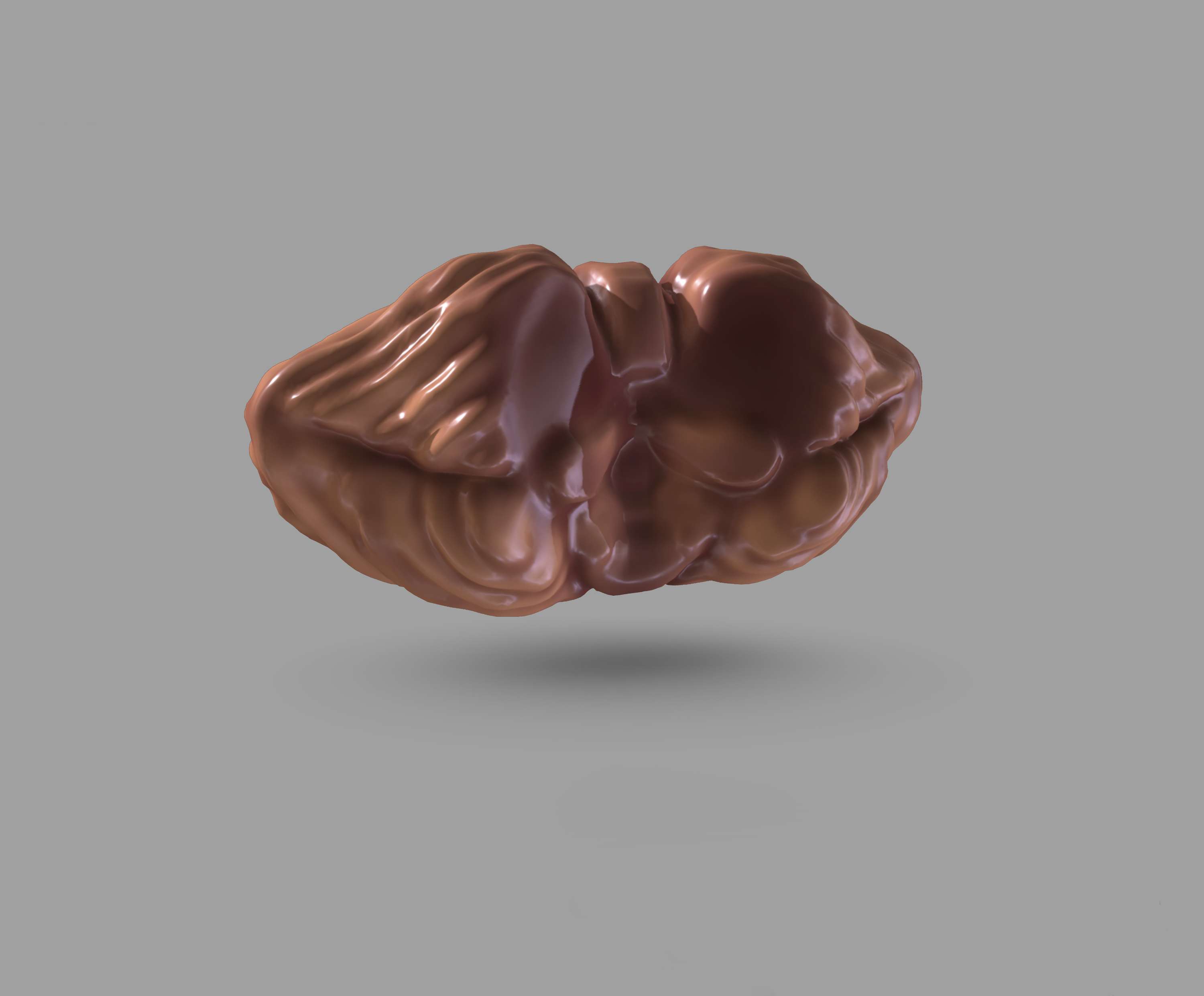 3D SpinalCord by Juman Hamza