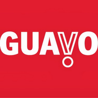 Guavo Media logo