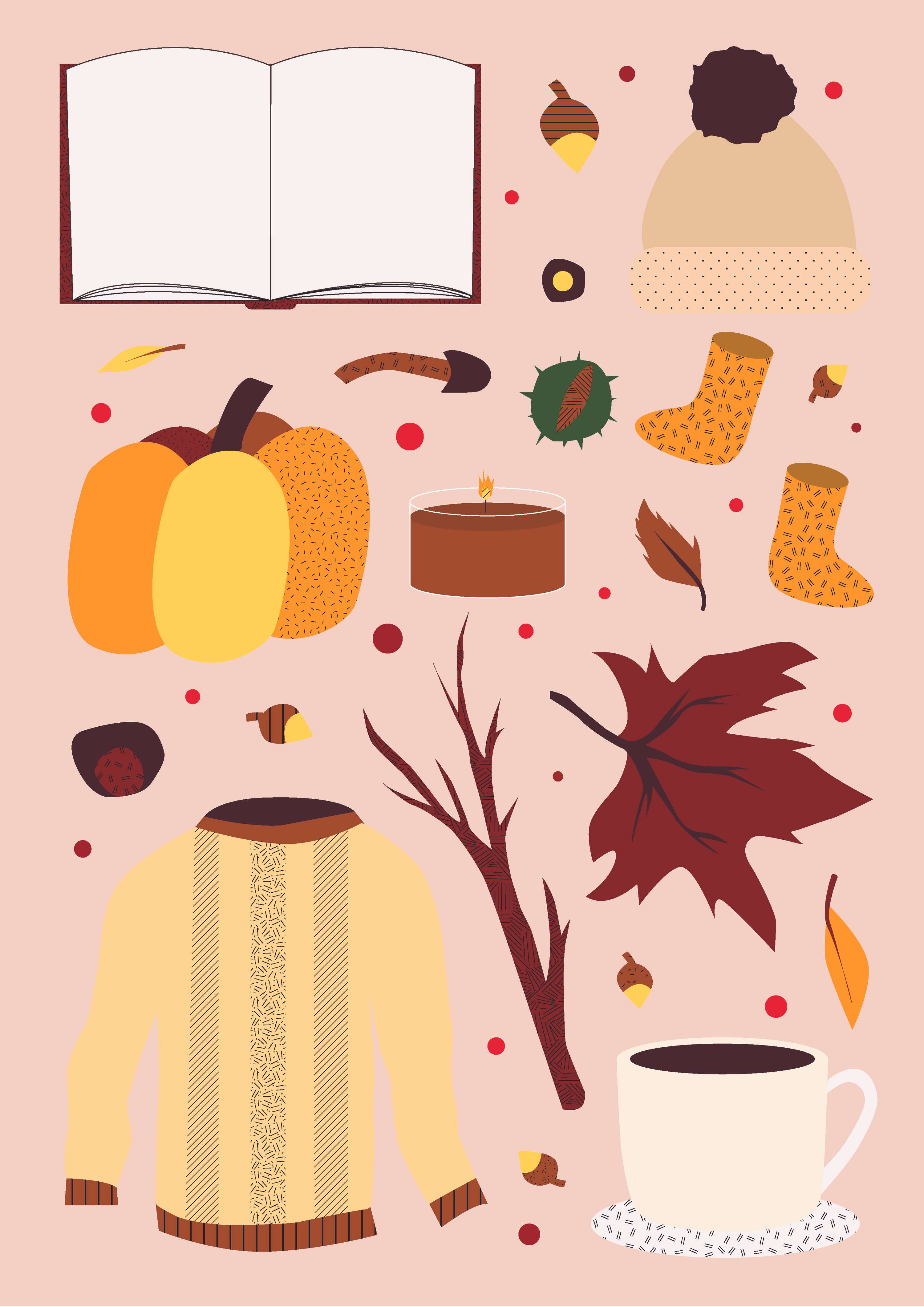 Flash sheet illustrations by Shannon Donaldson