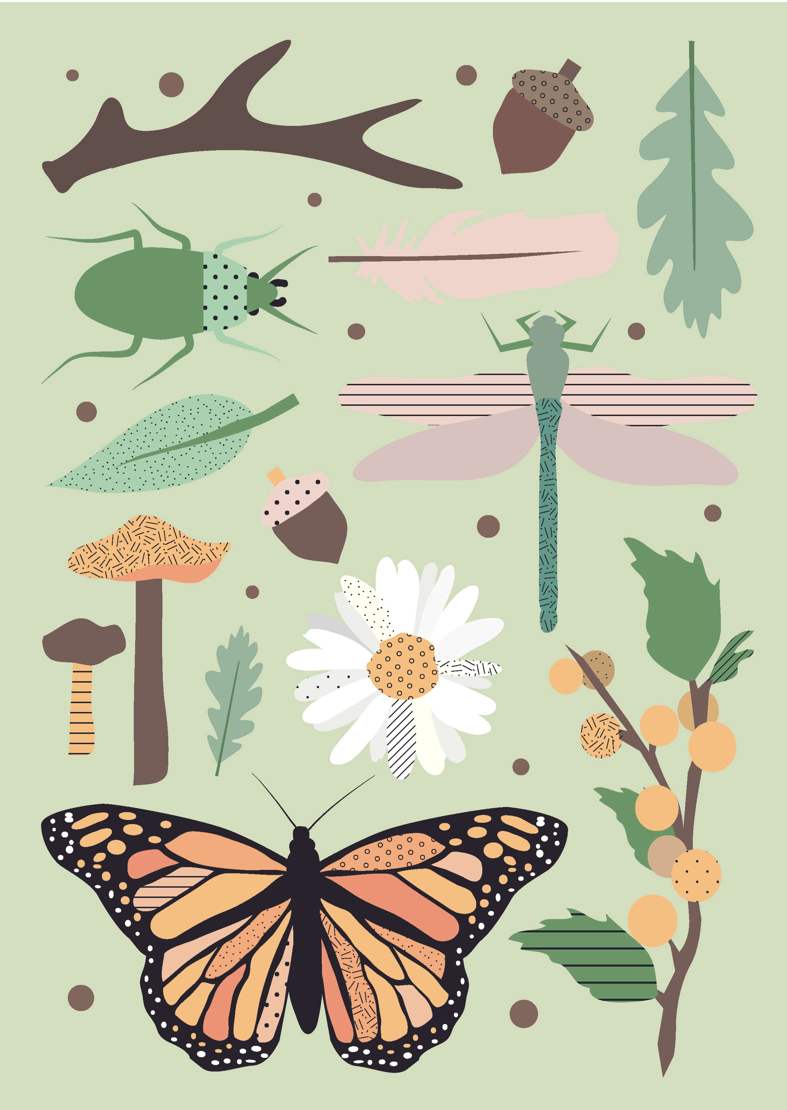 Flash sheet illustrations by Shannon Donaldson