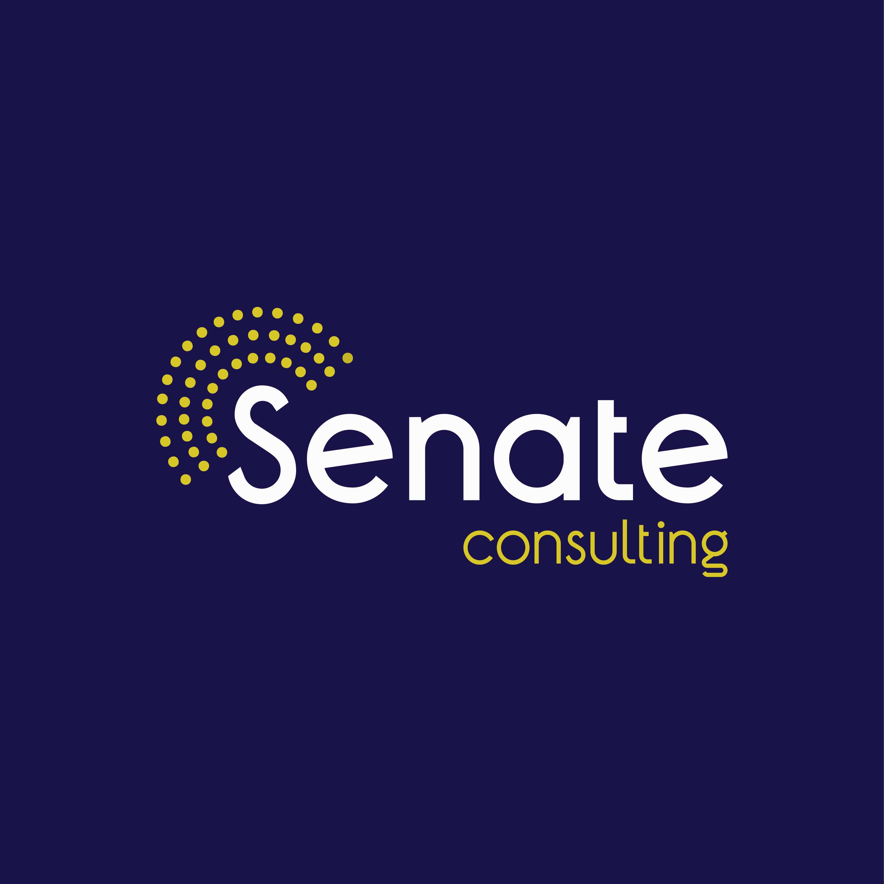 Senate Conulting by asdesign