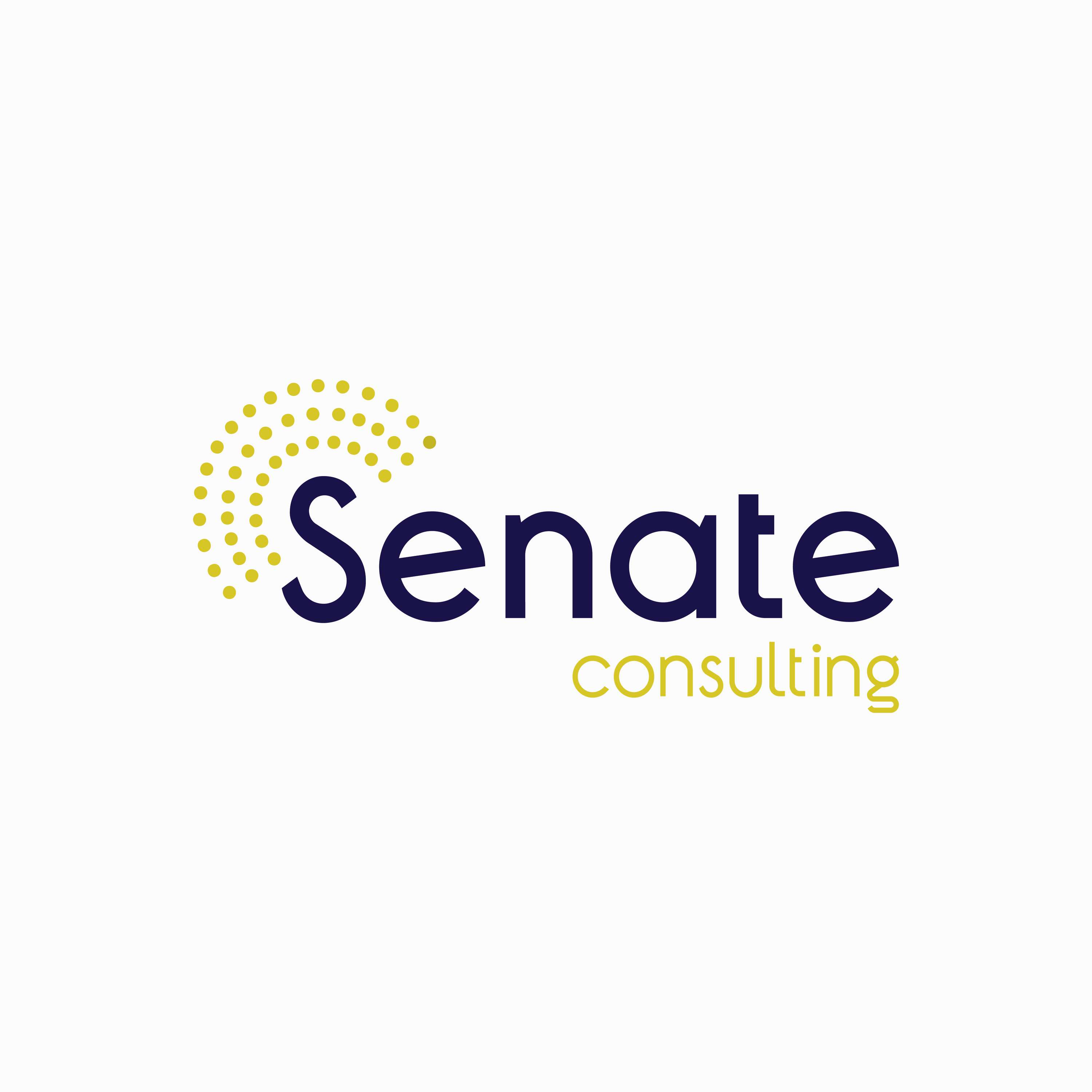 Senate Conulting by asdesign