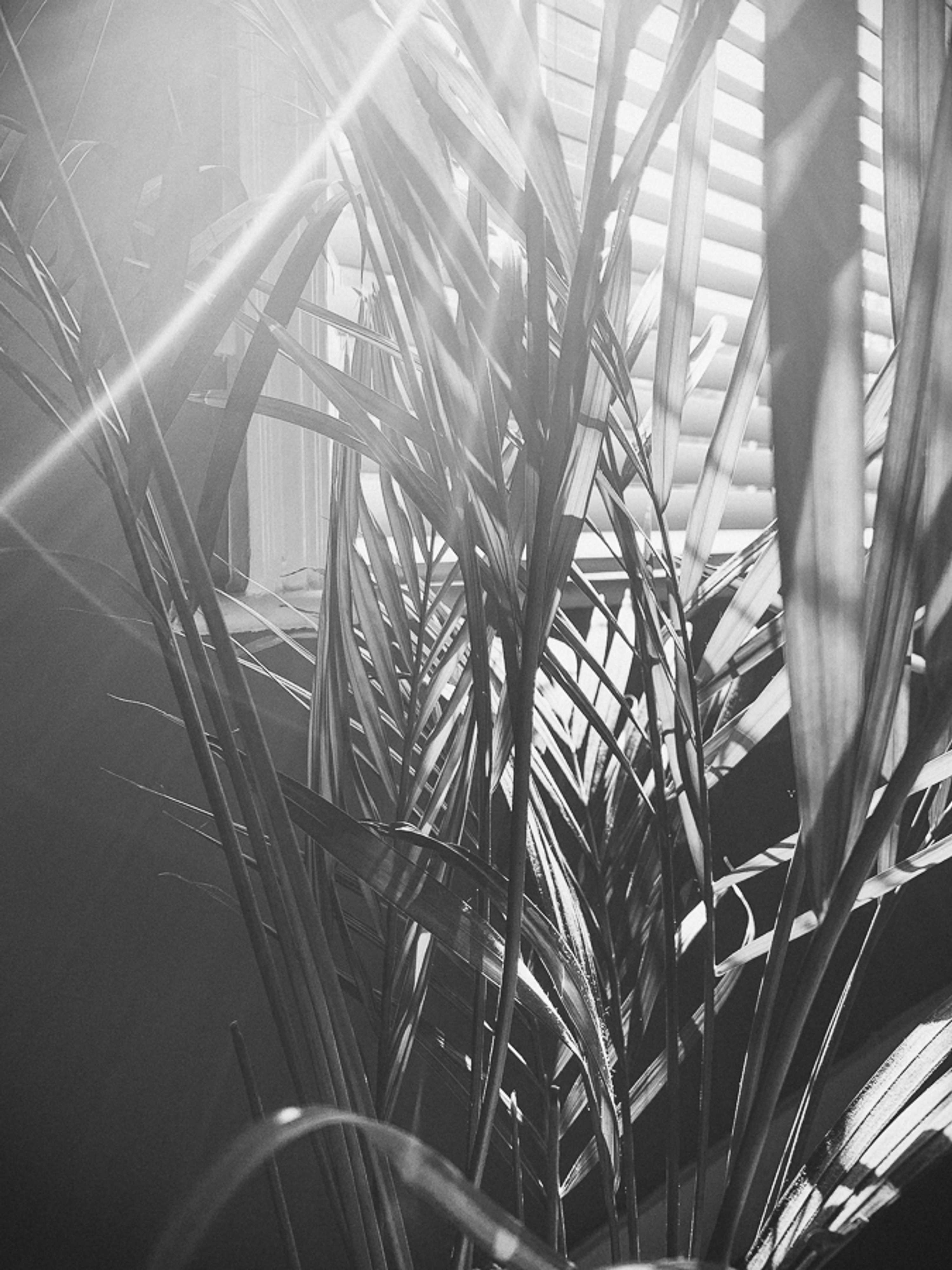 15 days and counting by Carli Adby-Notley