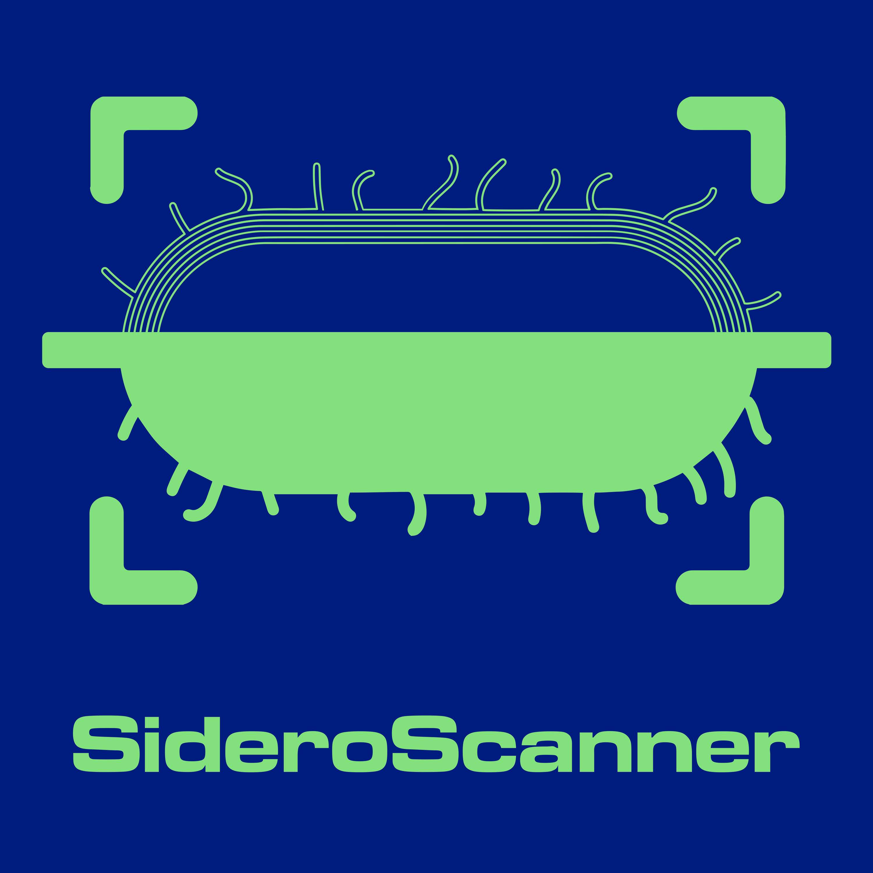 Sidero Scanner Visual Branding by Deji Feyisetan