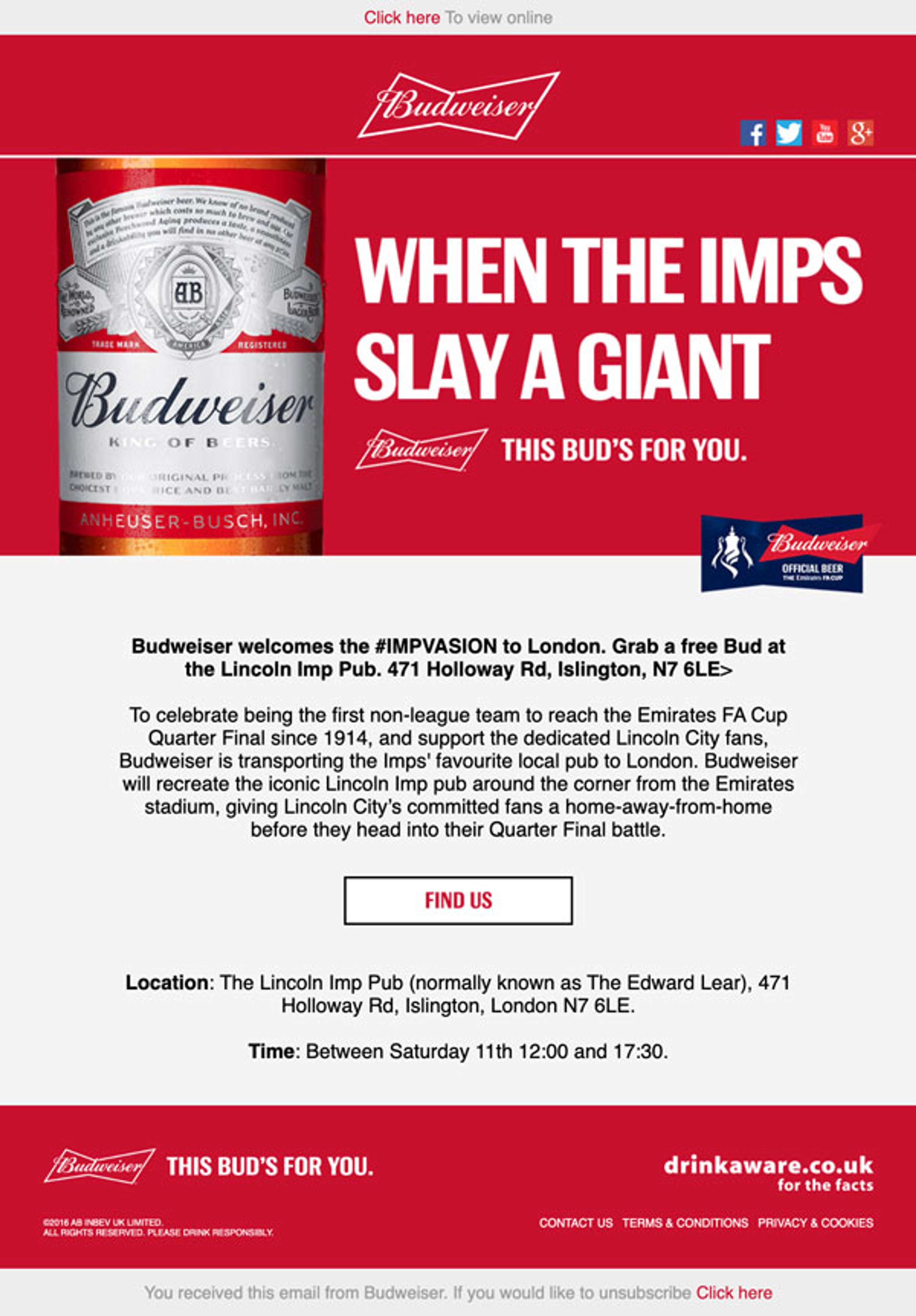 Budweiser Email Newsletter by Ronan Tuite