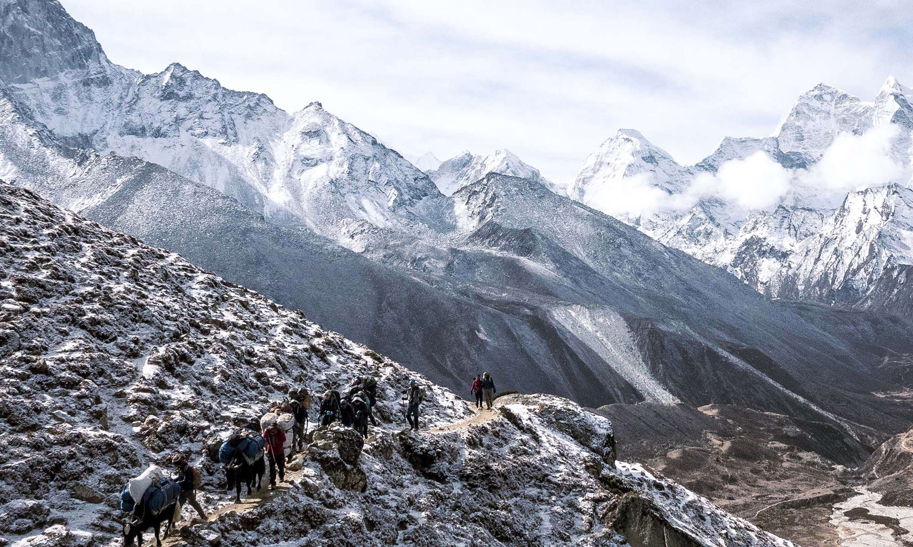 Max vs. Everest by Carl Reason