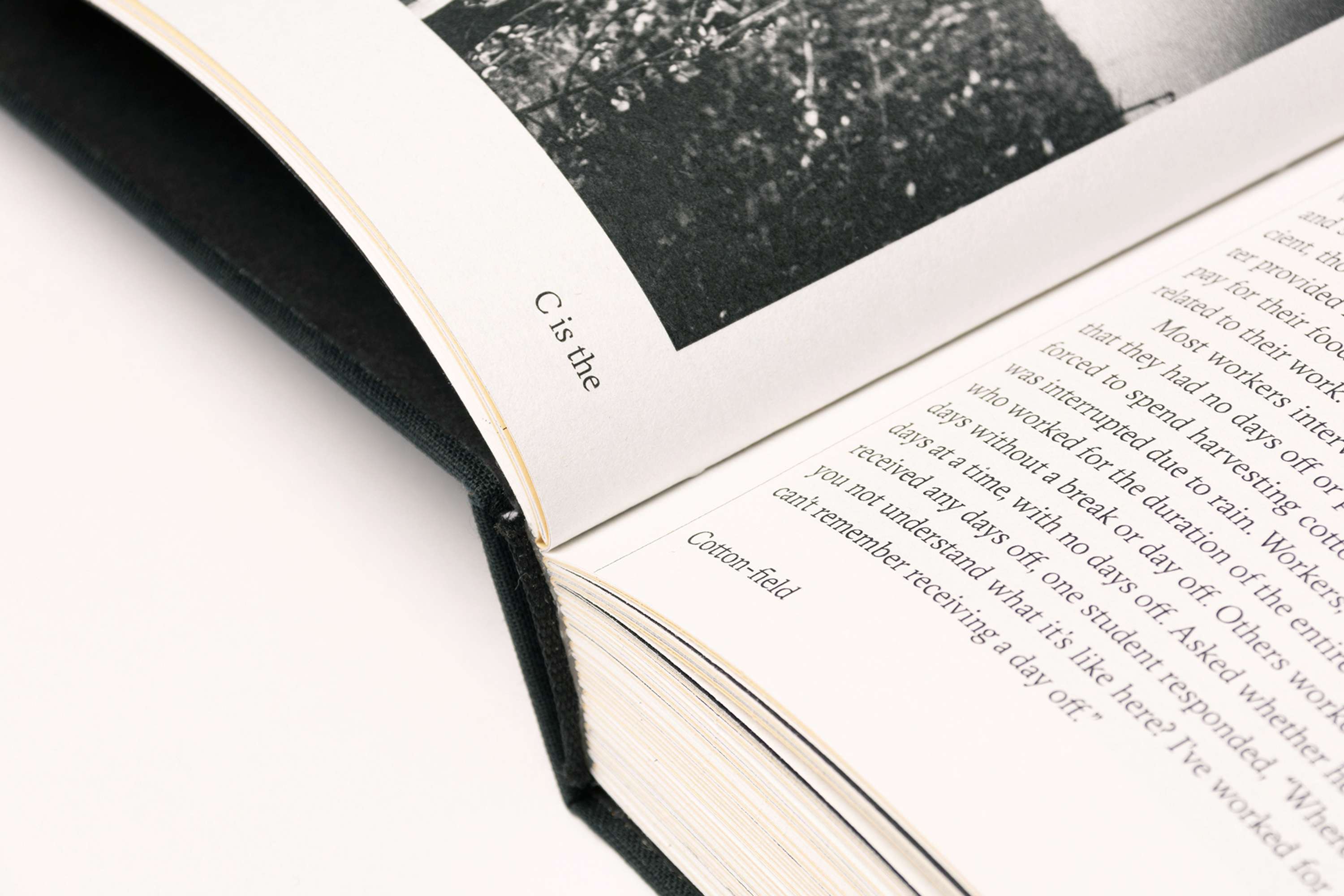 A is for Abolitionism by María Villamil