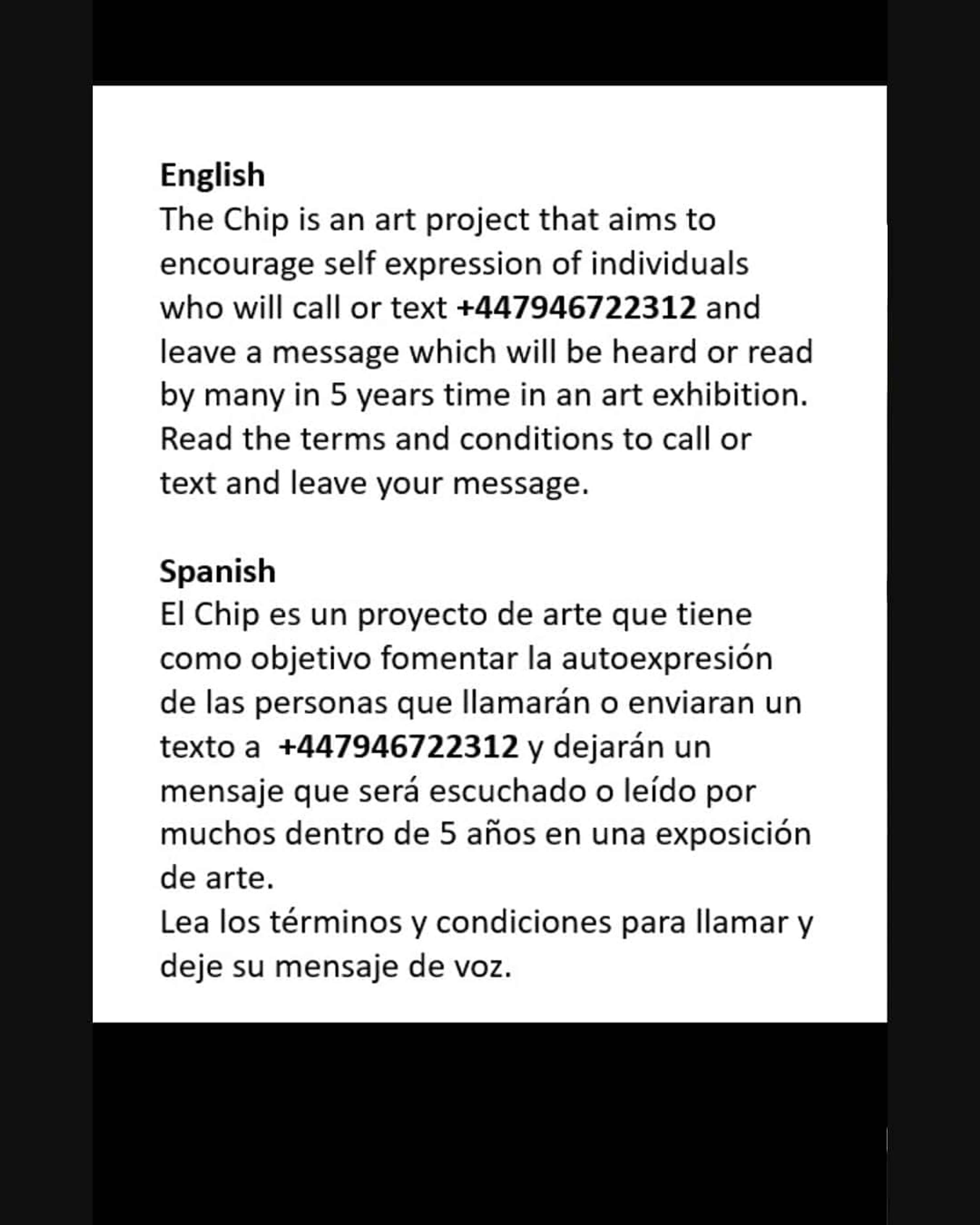 THE CHIP by Fabiola Retamozo