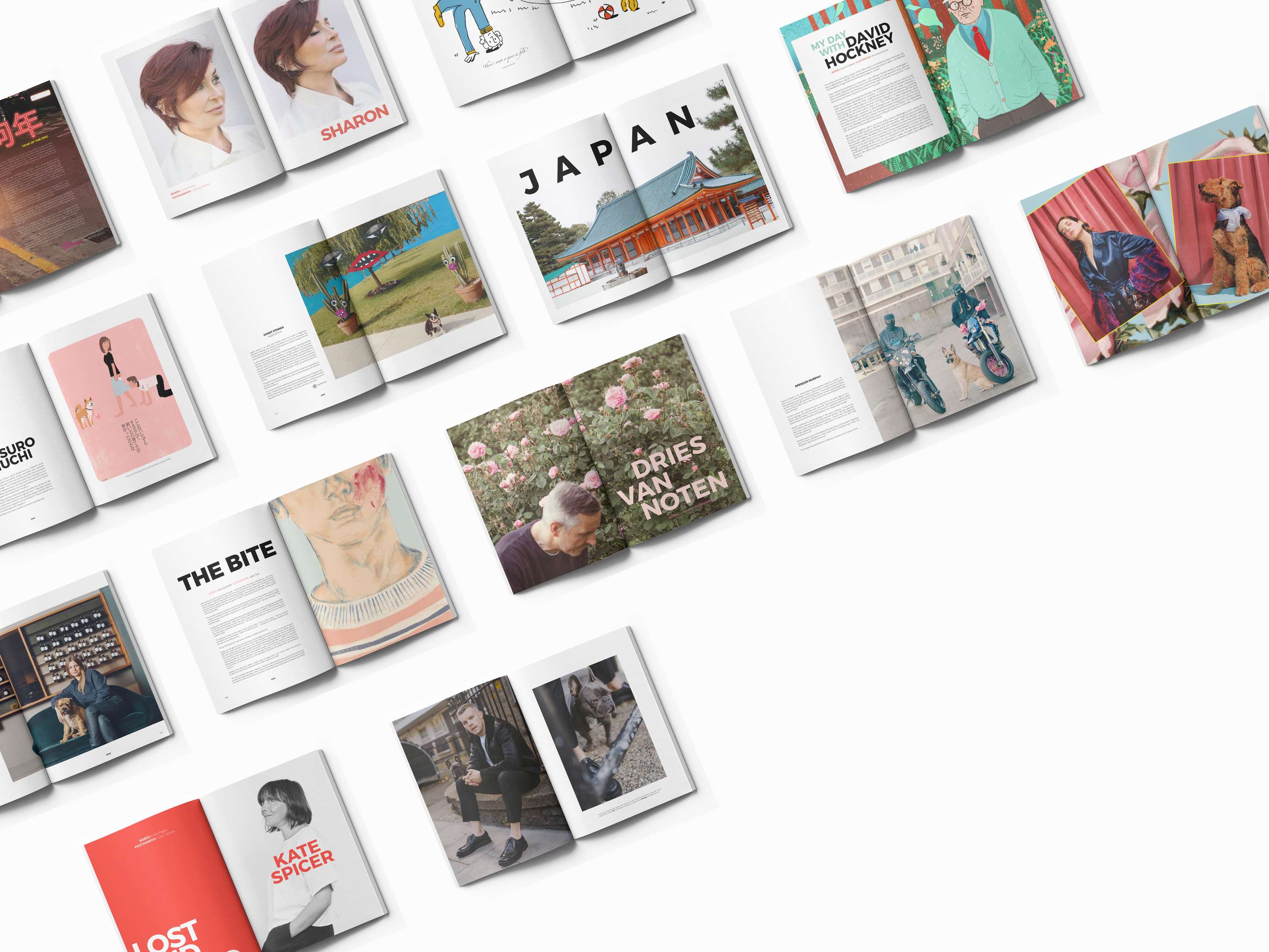 Editorial design by julian victoria