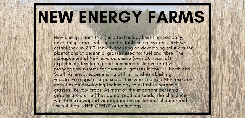 New Energy Farms by Cecilio Perez